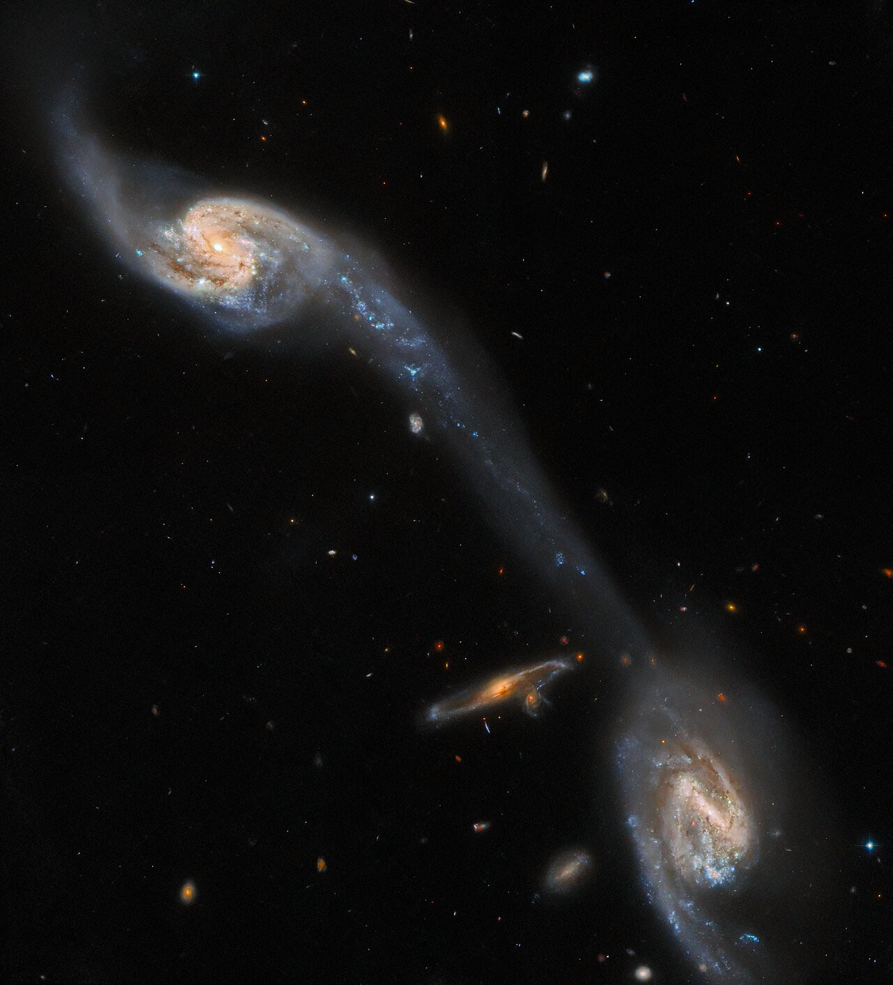 This image from the NASA/ESA Hubble Space Telescope shows two of the galaxies in the galactic triplet Arp 248 — also known as Wild's Triplet — which lies around 200 million light-years from Earth in the constellation Virgo. The two large spiral galaxies visible in this image — which flank a smaller, unrelated background spiral galaxy — seem to be connected by a luminous bridge. This elongated stream of stars and interstellar dust is known as a tidal tail, and it was formed by the mutual gravitational attraction of the two foreground galaxies.  This observation comes from a project which delves into two rogues’ galleries of weird and wonderful galaxies: A Catalogue Of Southern Peculiar Galaxies And Associations, compiled by astronomers Halton Arp and Barry Madore, and the Atlas of Peculiar Galaxies, compiled by Halton Arp. Each collection contains a menagerie of spectacularly peculiar galaxies, including interacting galaxies such as Arp 248, as well as one- or three-armed spiral galaxies, galaxies with shell-like structures, and a variety of other space oddities.  Hubble used its Advanced Camera for Surveys to scour this menagerie of eccentric galaxies in search of promising candidates for future observations with the NASA/ESA/CSA James Webb Space Telescope, the Atacama Large Millimeter/submillimeter Array, and Hubble itself. With such a wealth of astronomical objects to study in the night sky, projects such as this, which guide future observations, are a valuable investment of observing time. As well as the scientific merits of observing these weird and wonderful galaxies, they were also — very unusually — selected as Hubble targets because of their visual appeal to the general public!  [Image description: Two spiral galaxies are viewed almost face-on; they are a mix of pale blue and yellow in colour, crossed by strands of dark red dust. They lie in the upper-left and lower-right corners. A long, faint streak of pale blue joins them, extending from an arm of one galaxy and crossing the field diagonally. A small spiral galaxy, orange in colour, is visible edge-on, left of the lower galaxy.]  Links Video of Hubble Inspects A Pair of Space Oddities  Credit: ESA/Hubble & NASA, Dark Energy Survey/DOE/FNAL/DECam/CTIO/NOIRLab/NSF/AURA, J. Dalcanton