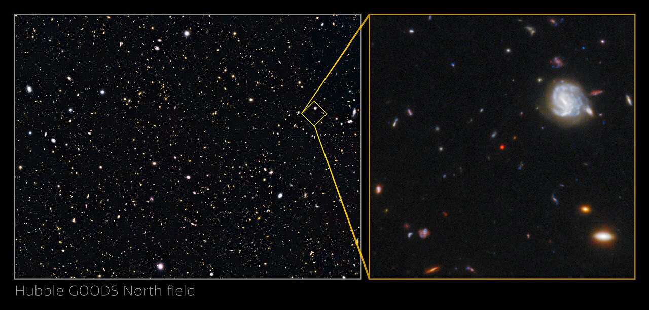 An international team of astronomers using archival data from the NASA/ESA Hubble Space Telescope and other space- and ground-based observatories have discovered a unique object in the distant, early Universe that is a crucial link between young star-forming galaxies and the earliest supermassive black holes. This object is the first of its kind to be discovered so early in the Universe’s history, and had been lurking unnoticed in one of the best-studied areas of the night sky.   The object, which is referred to as GNz7q, is shown here in the centre of the image of the Hubble GOODS-North field.  Credit: NASA, ESA, G. Illingworth (University of California, Santa Cruz), P. Oesch (University of California, Santa Cruz; Yale University), R. Bouwens and I. Labbé (Leiden University), and the Science Team, S. Fujimoto et al. (Cosmic Dawn Center [DAWN] and University of Copenhagen)