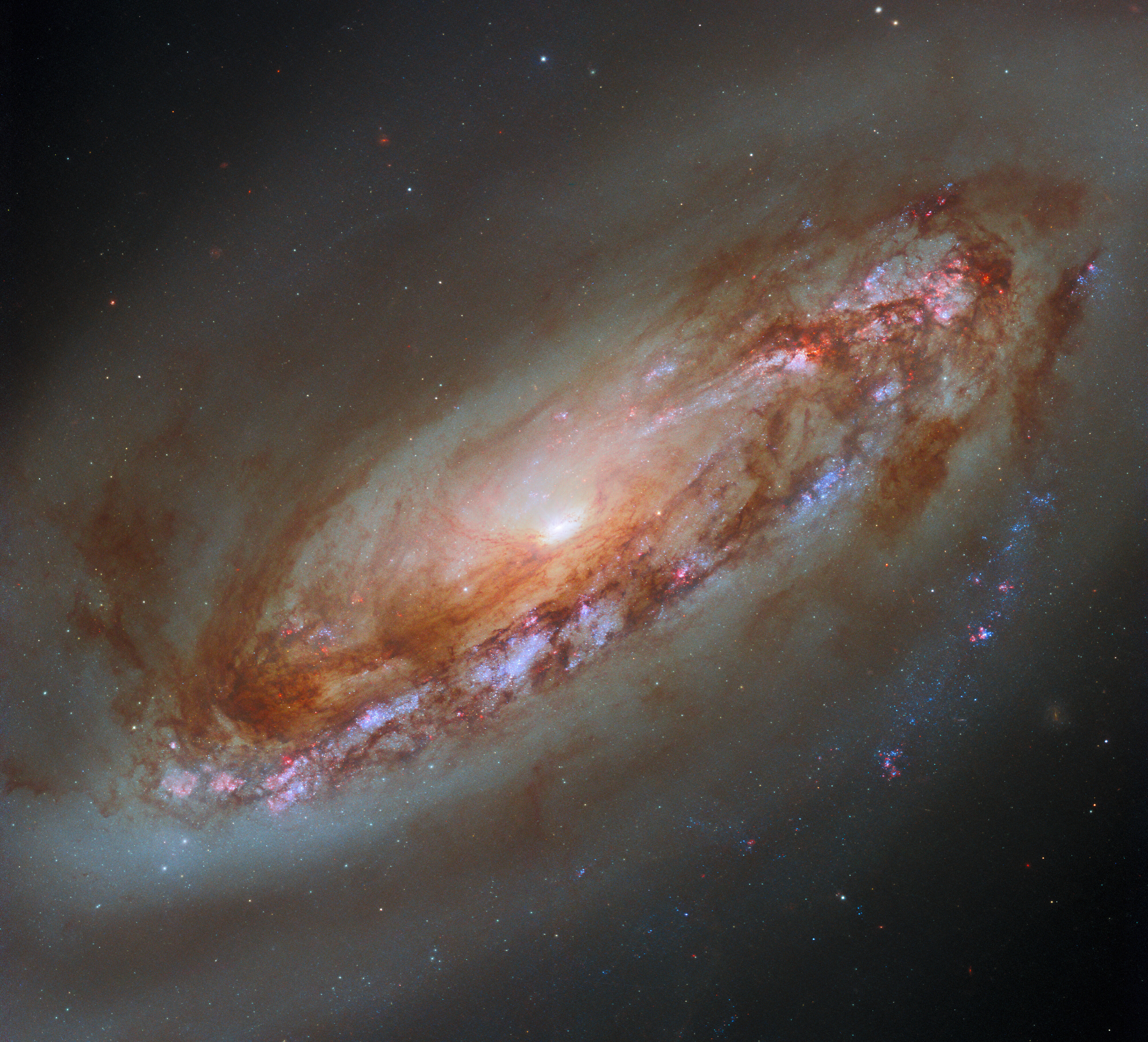 A yet better view - Credit: ESA/Hubble & NASA, D. Thilker, J. Lee and the PHANGS-HST Team