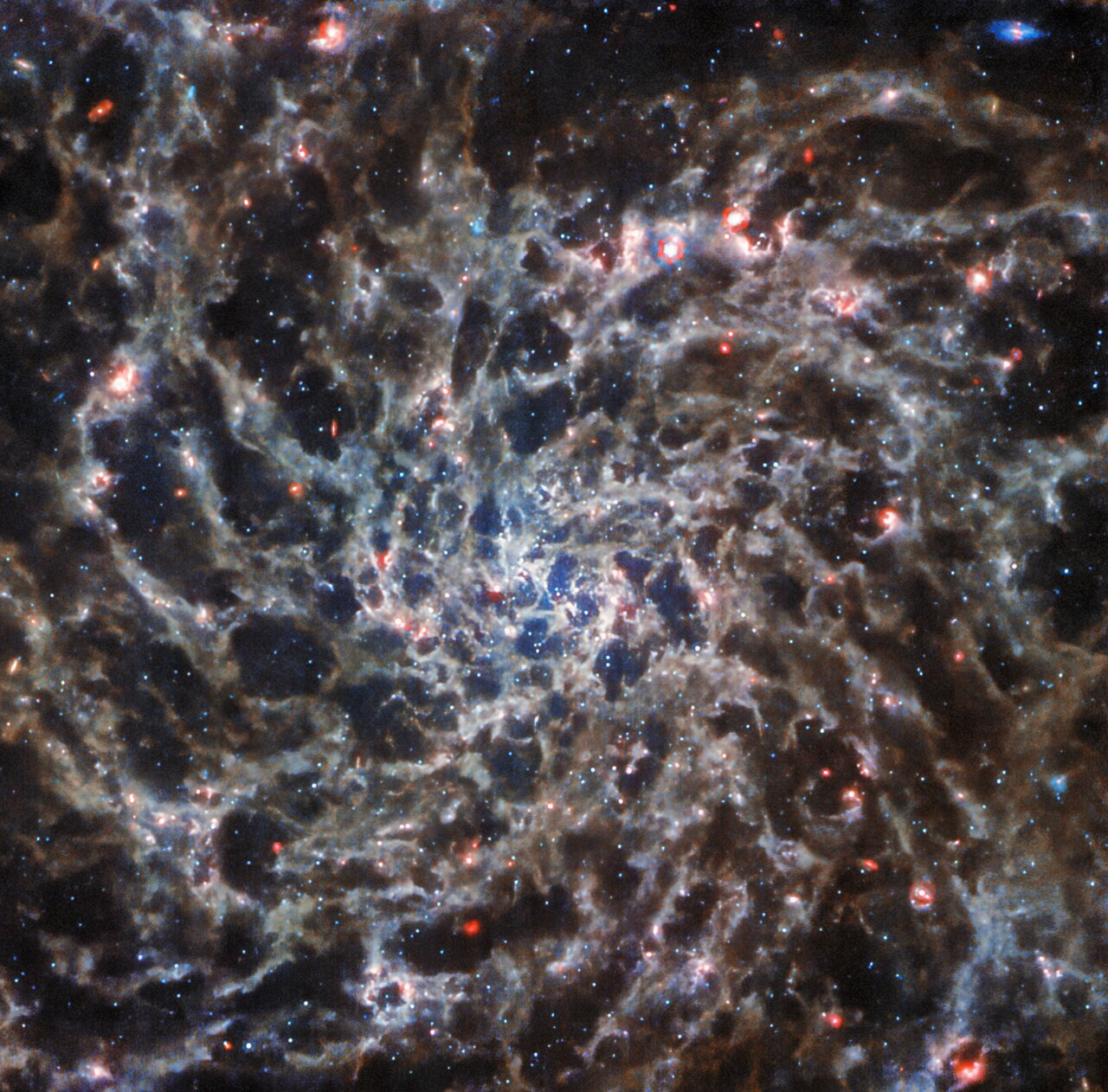 This image of the spiral galaxy IC 5332, taken by the NASA/ESA/CSA James Webb Space Telescope with its MIRI instrument, has been scaled and cropped to match the NASA/ESA Hubble Space Telescope’s view of the same galaxy.  Credit: ESA/Webb, NASA & CSA, J. Lee and the PHANGS-JWST and PHANGS-HST Teams