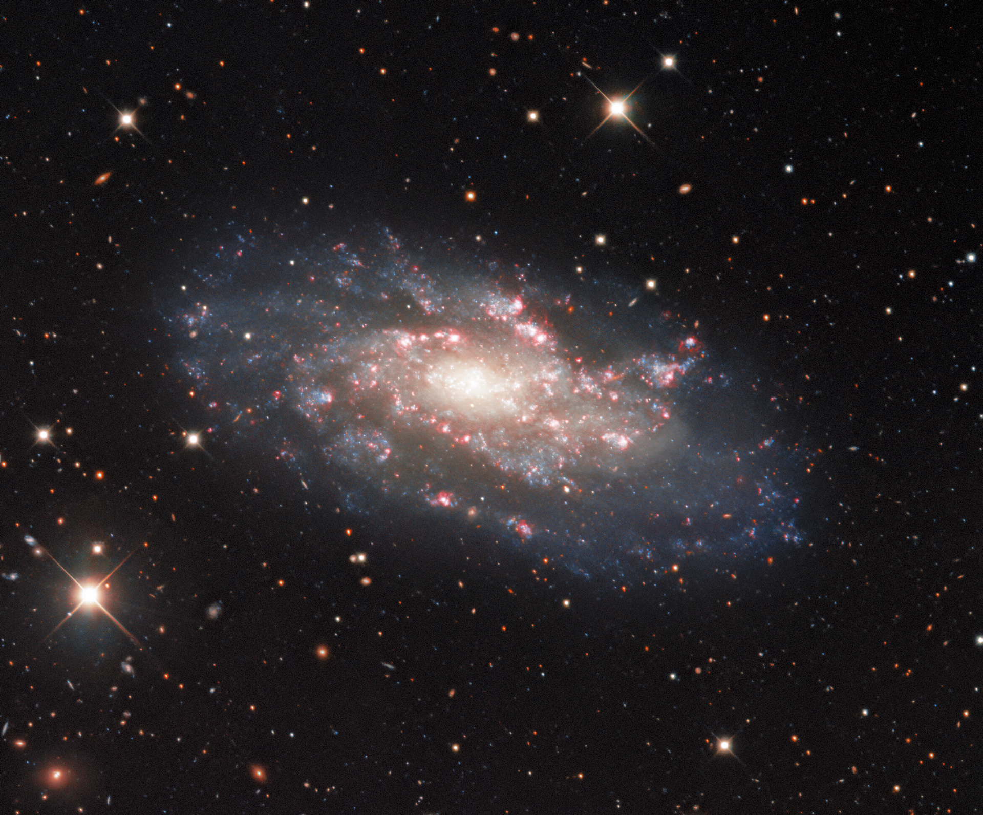 The spiral galaxy NGC 2541 is shown in extravagant detail in this astronomical snapshot from the Nicholas U. Mayall 4-meter Telescope at Kitt Peak National Observatory, a Program of NSF’s NOIRLab. Astronomers recognize a variety of galaxy types, and NGC 2541 is classified as an unbarred spiral galaxy. These galaxies possess spectacular spiral arms like the ones shown here, but lack the central bar-shaped structure displayed by galaxies such as the Milky Way. NGC 2541 lies 37 million light-years from Earth in the constellation of Lynx (The Lynx). Sandwiched between the constellations of Ursa Major, Gemini, and Leo, Lynx is one of 10 new constellations established by the 17th century astronomer Johannes Hevelius. The constellation is composed of very faint stars, leading Hevelius to claim that only the lynx-eyed — people with exceptionally keen eyesight — would be able to spot this unobtrusive constellation.  Credit: KPNO/NOIRLab/NSF/AURA Acknowledgements: PI: M T. Patterson (New Mexico State University) Image processing: Travis Rector (University of Alaska Anchorage), Mahdi Zamani & Davide de Martin   
