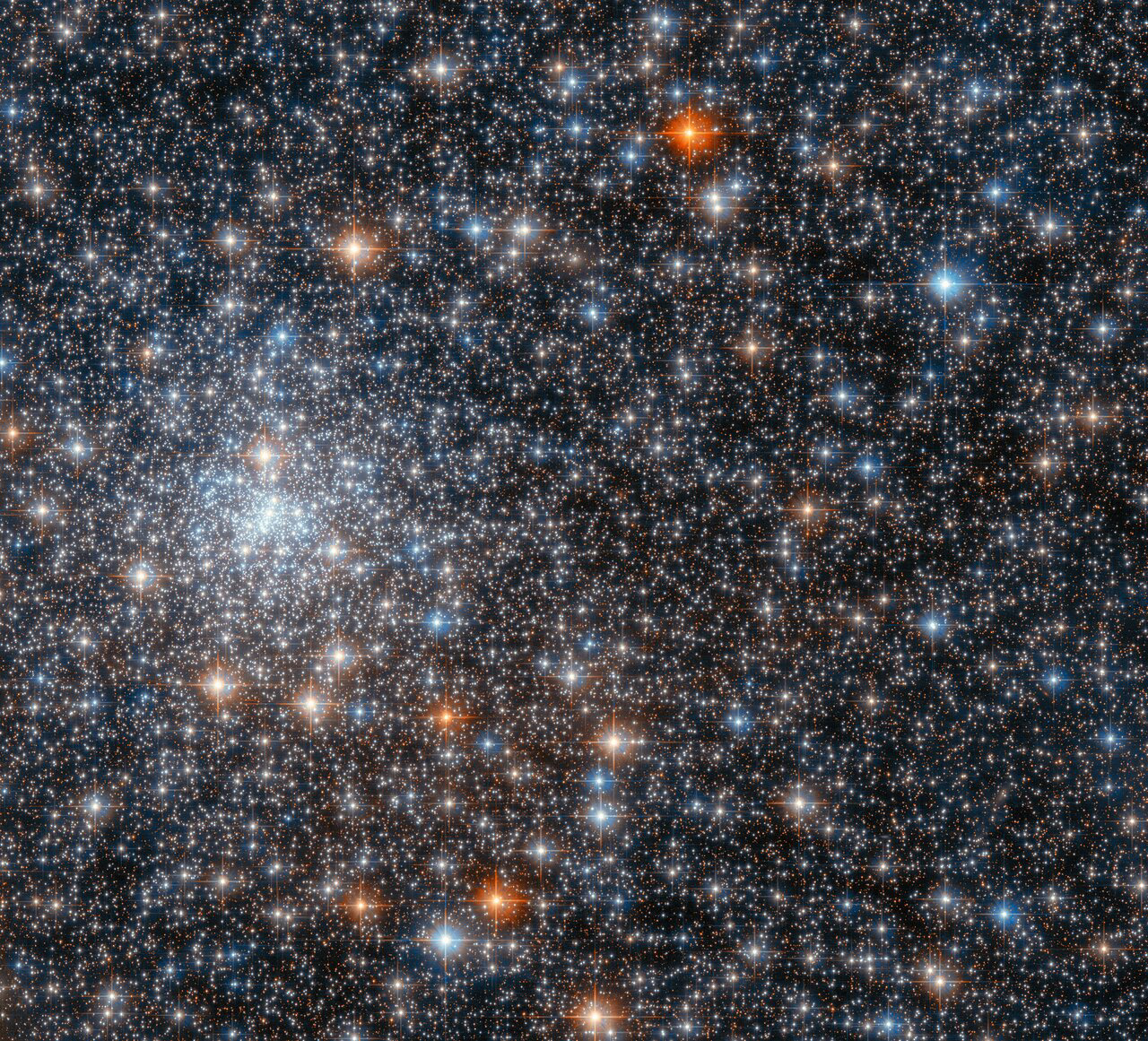 This glittering gathering of stars is the globular cluster NGC 6558, and it was captured by the NASA/ESA Hubble Space Telescope’s Advanced Camera for Surveys. NGC 6558 is closer to the centre of the Milky Way than Earth is, and lies about 23 000 light years away in the constellation Sagittarius.  Globular clusters like NGC 6558 are tightly bound collections of tens of thousands to millions of stars, and they can be found in a wide range of galaxies. As this observation shows, the stars in globular clusters can be densely packed; this image is thronged with stars in a rich variety of hues. Some of the brightest inhabitants of this globular cluster are surrounded by prominent diffraction spikes, which are imaging artefacts caused by starlight interacting with the inner workings of Hubble.  Globular clusters equip astronomers with interesting natural laboratories in which to test their theories, as all the stars in a globular cluster formed at approximately the same time with similar initial composition. These stellar clusters therefore provide unique insights into how different stars evolve under similar conditions. This image comes from a set of observations investigating globular clusters in the inner Milky Way. Astronomers were interested in studying these globular clusters to gain greater insight into how globular clusters in the inner Milky Way form and evolve.  Links Video of Hubble Spies a Glittering Gathering of Stars Credit: ESA/Hubble & NASA, R. Cohen