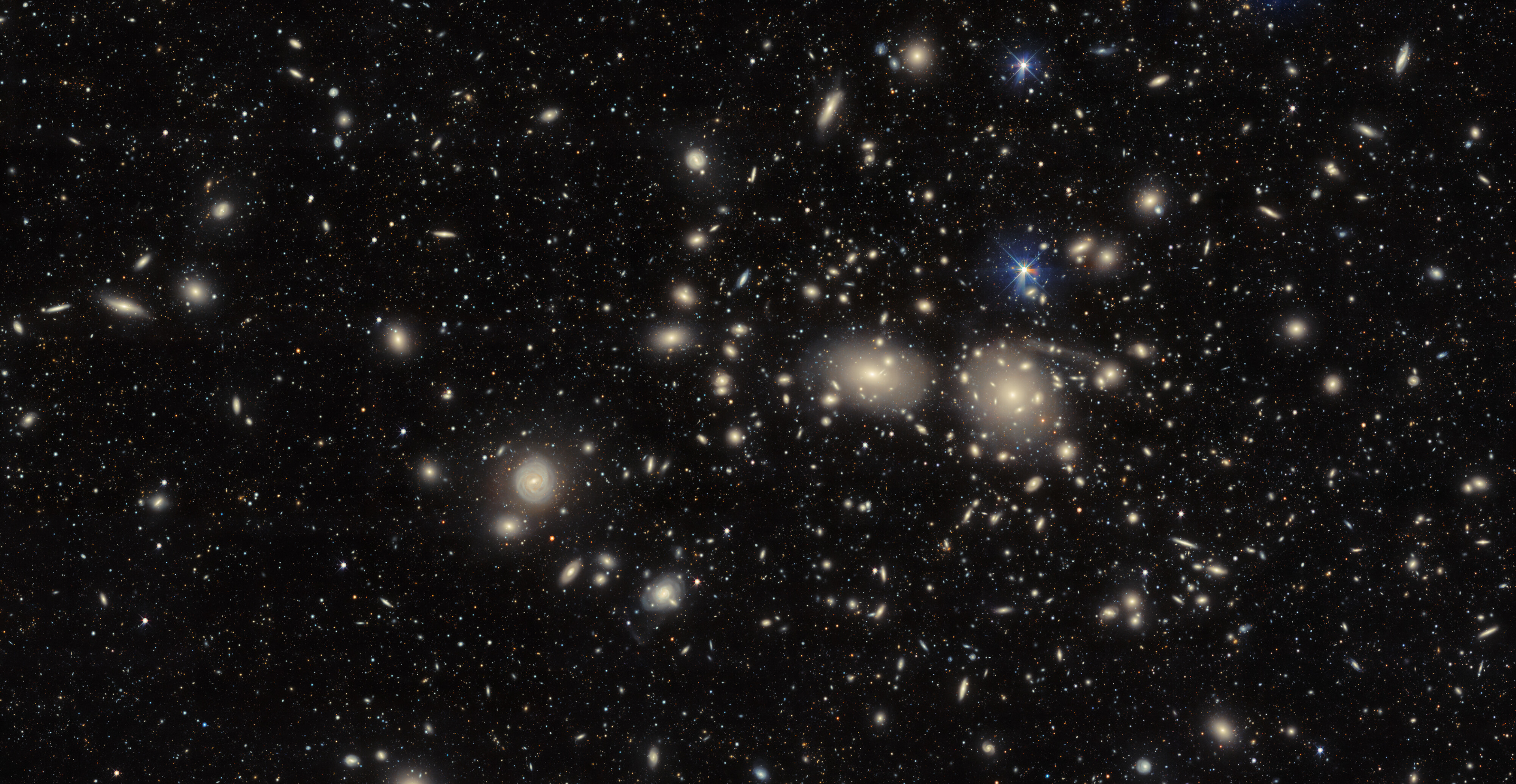 Coma Cluster- Credit: CTIO/NOIRLab/DOE/NSF/AURA Image Processing: D. de Martin & M. Zamani (NSF NOIRLab)