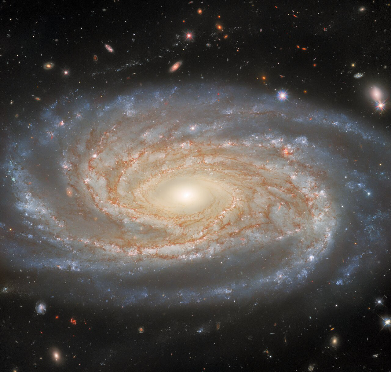 The spiral arms of the galaxy NGC 7038 wind languidly across this image from the NASA/ESA Hubble Space Telescope. NGC 7038 lies around 220 million light-years from Earth in the southern constellation Indus. This image portrays an especially rich and detailed view of a spiral galaxy, and exposes a huge number of distant stars and galaxies around it. That’s because it’s made from a combined 15 hours worth of Hubble time focused on NGC 7038 and collecting light. So much data indicates that this is a valuable target, and indeed, NGC 7038 has been particularly helpful to astronomers measuring distances at vast cosmic scales.  The distances to astronomical objects are determined using an interconnected chain of measurement techniques called the Cosmic Distance Ladder. Each rung in the ladder is calibrated by earlier steps, based on measurements of objects closer to us. This makes the accuracy of distances at the largest scales dependent on how accurately distances to nearby objects can be determined. Hubble inspected NGC 7038 with its Wide Field Camera 3 to calibrate two of the most common distance measurement techniques: type 1A supernovae and Cepheid variables.   One of Hubble's original science goals was to accurately establish distances to night-sky objects, and over its three decades of operation Hubble’s increasingly precise distance measurements have contributed to one of the most intriguing unsolved problems in astronomy. Distance measurements are used to derive a quantity known as the Hubble constant, which captures how fast the Universe is expanding. As astronomer’s measurements of the Hubble constant have become more precise, their value has become increasingly inconsistent with the value of the Hubble Constant derived from observations of the Big Bang’s afterglow. Astronomers have been unable to explain the mismatch between the two values of the Hubble constant, which suggests that a new discovery in cosmology is waiting to be made.  [Image description: An enormous spiral galaxy fills half of the frame, in the centre. It is oval-shaped, with four blue spiral arms winding around it. The galaxy’s centre shines brightly with pale yellow light. Thin strands of orange dust are spread around the centre, following the paths of the arms. Above and below the galaxy, very many small stars and galaxies are visible on the black background.]  Links Video of Investigating A Made-to-Measure Galaxy Credit: ESA/Hubble & NASA, D. Jones Acknowledgement: G. Anand, L. Shatz