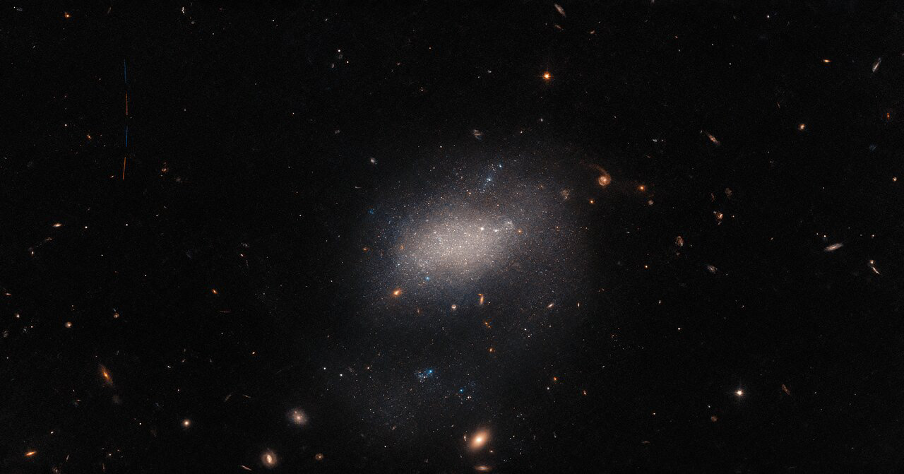 A host of astronomical objects throng this image from the NASA/ESA Hubble Space Telescope. Background galaxies ranging from stately spirals to fuzzy ellipticals are strewn across the image, and bright foreground stars much closer to home are also present, surrounded by diffraction spikes. In the centre of the image, the vague shape of the small galaxy UGC 7983 appears as a hazy cloud of light. UGC 7983 is around 30 million light-years from Earth in the constellation Virgo, and is a dwarf irregular galaxy — a type thought to be similar to the very earliest galaxies in the Universe.  This image also conceals an astronomical interloper. A minor asteroid, only a handful of kilometres across, can be seen streaking across the upper left-hand side of this image. The trail of the asteroid is visible as four streaks of light separated by small gaps. These streaks of light represent the four separate exposures that were combined to create this image, the small gaps between each observation being necessary to change the filters inside Hubble’s Advanced Camera for Surveys.   Capturing an asteroid was a fortunate side effect of a larger effort to observe every known galaxy close to the Milky Way. When this project was first proposed, roughly 75% of all the Milky Way’s near galactic neighbours had been imaged by Hubble. A group of astronomers proposed using the gaps between longer Hubble observations to capture images of the remaining 25%. The project was an elegantly efficient way to fill out some gaps not only in Hubble's observing schedule, but also in our knowledge of nearby galaxies.  Credit: ESA/Hubble & NASA, R. Tully