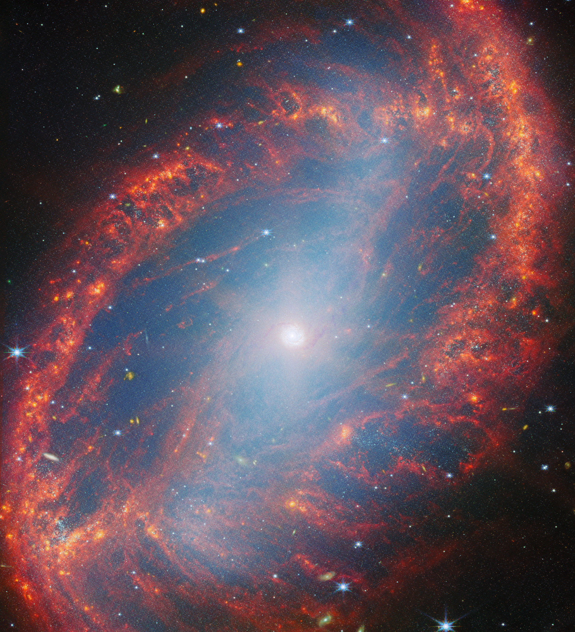 Close look at a local galaxy - Credit: ESA/Webb, NASA & CSA, A. LeroyCredit: ESA/Webb, NASA & CSA, A. Leroy