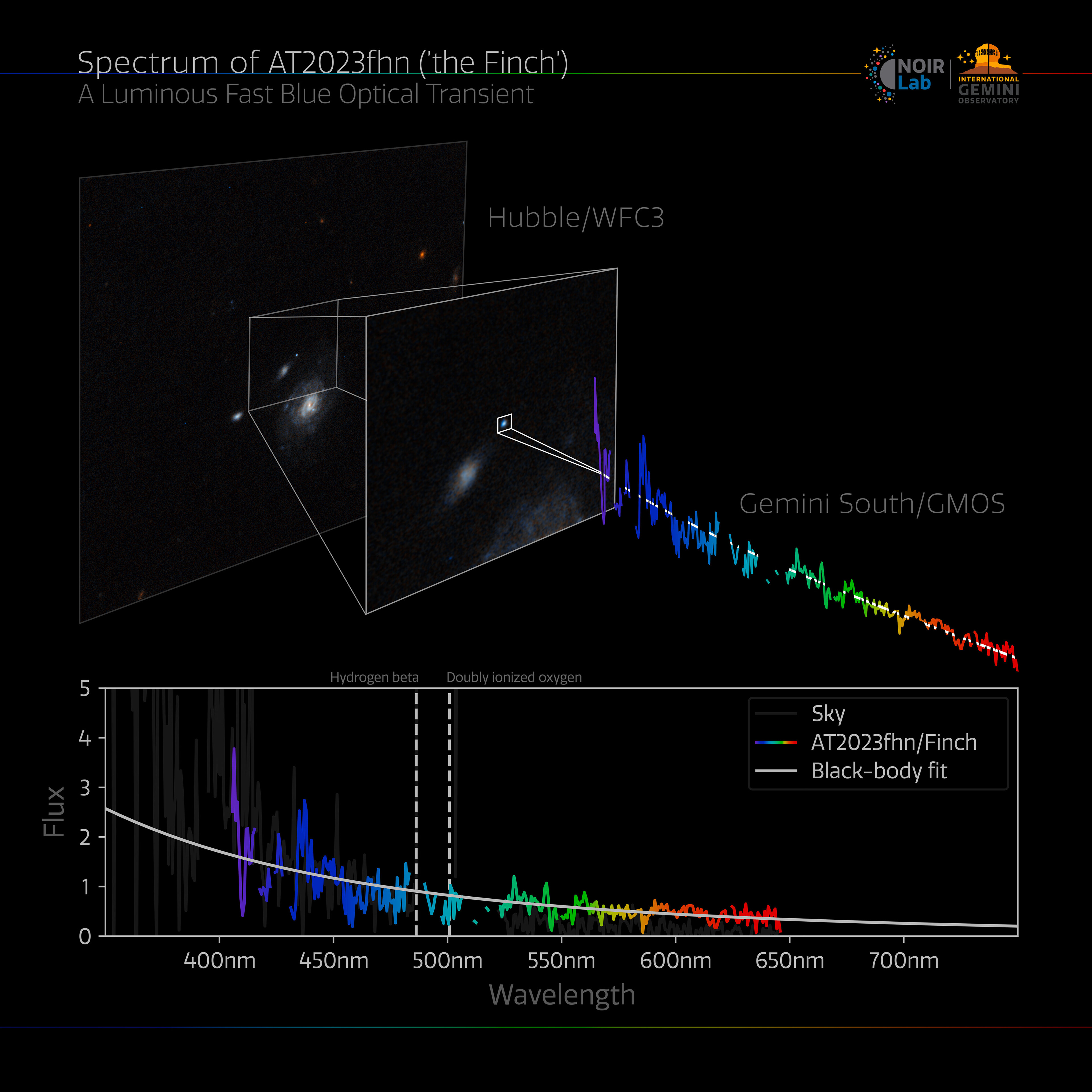 Gemini Spectrum of 'the Finch' / Credit: International Gemini Observatory/NOIRLab/NSF/AURA/ESA/NASA/A. Chrimes/M. Zamani