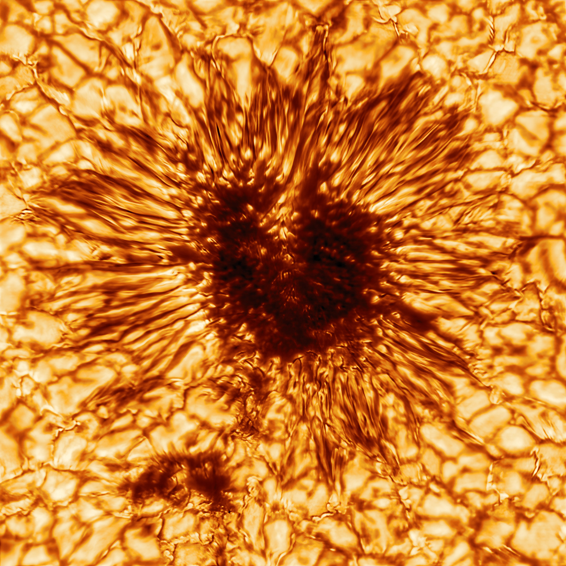 This is the first sunspot image taken on January 28, 2020 by the NSF’s Inouye Solar Telescope’s Wave Front Correction context viewer. The image reveals striking details of the sunspot’s structure as seen at the Sun’s surface. The sunspot is sculpted by a convergence of intense magnetic fields and hot gas boiling up from below. This image uses a warm palette of red and orange, but the context viewer took this sunspot image at the wavelength of 530 nanometers – in the greenish-yellow part of the visible spectrum. This is not the same naked eye sunspot group visible on the Sun in late November and early December 2020.   Credit: NSO/NSF/AURA