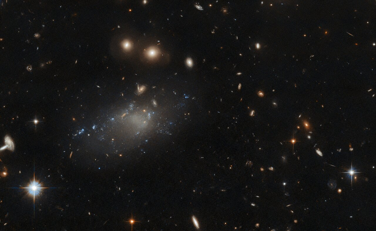 The ultra-diffuse galaxy GAMA 526784 appears as a tenuous patch of light in this image from the NASA/ESA Hubble Space Telescope. This wispy object resides in the constellation Hydra, roughly four billion light-years from Earth. Ultra-diffuse galaxies such as GAMA 526784 have a number of peculiarities. For example, their dark matter content can be either extremely low or extremely high — ultra-diffuse galaxies have been observed with an almost complete lack of dark matter, whereas others consist of almost nothing but dark matter. Another oddity of this class of galaxies is their anomalous abundance of bright globular clusters, something not observed in other types of galaxies.  Hubble captured GAMA 526784 with the Advanced Camera for Surveys (ACS), which was installed in 2002 by astronauts during Hubble Servicing Mission 3B. Since then, the instrument has played a pivotal role in some of Hubble’s most impressive scientific results, including capturing the Hubble Ultra Deep Field. The ACS has also photographed Pluto in advance of the New Horizon mission, observed gargantuan gravitational lenses and found fully formed galaxies in the early Universe.  This image comes from a set of Hubble observations designed to shed light on the properties of ultra-diffuse galaxies. Hubble’s keen vision allowed astronomers to study GAMA 526784 in high resolution at ultraviolet wavelengths, helping to gauge the sizes and ages of the compact star-forming regions studding the galaxy.  Credit: ESA/Hubble & NASA, R. van der Burg Acknowledgement: L. Shatz