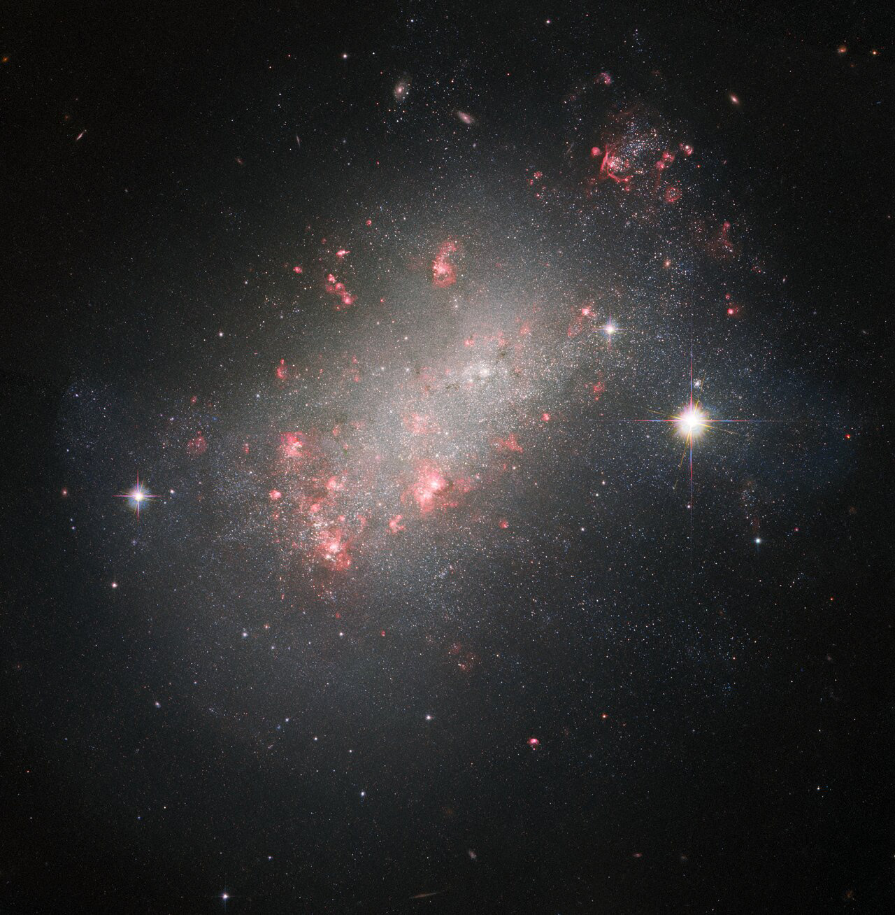 The galaxy featured in this Picture of the Week has a shape unlike many of the galaxies familiar to Hubble. Its thousands of bright stars evoke a spiral galaxy, but it lacks the characteristic ‘winding’ structure. The shining red blossoms stand out as well, twisted by clouds of dust — these are the locations of intense star formation. Yet it also radiates a diffuse glow, much like an elliptical galaxy and its core of older, redder stars. This galactic marvel is known to astronomers as NGC 1156.  NGC 1156 is located around 25 million light-years from Earth, in the constellation Aries. It has a variety of different features that are of interest to astronomers. A dwarf irregular galaxy, it’s also classified as isolated, meaning no other galaxies are nearby enough to influence its odd shape and continuing star formation. The extreme energy of freshly formed young stars gives colour to the galaxy, against the red glow of ionised hydrogen gas, while its centre is densely-packed with older generations of stars.  Hubble has captured NGC 1156 before — this new image features data from a galactic gap-filling programme simply titled “Every Known Nearby Galaxy”. Astronomers noticed that only three quarters of the galaxies within just over 30 million light-years of Earth had been observed by Hubble in sufficient detail to study the makeup of the stars within them. They proposed that in between larger projects, Hubble could take snapshots of the remaining quarter — including NGC 1156. Gap-filling programmes like this one ensure that the best use is made of Hubble’s valuable observing time.  Links Video of A Marvel of Galactic Morphology Credit: ESA/Hubble & NASA, R. B. Tully, R. Jansen, R. Windhorst