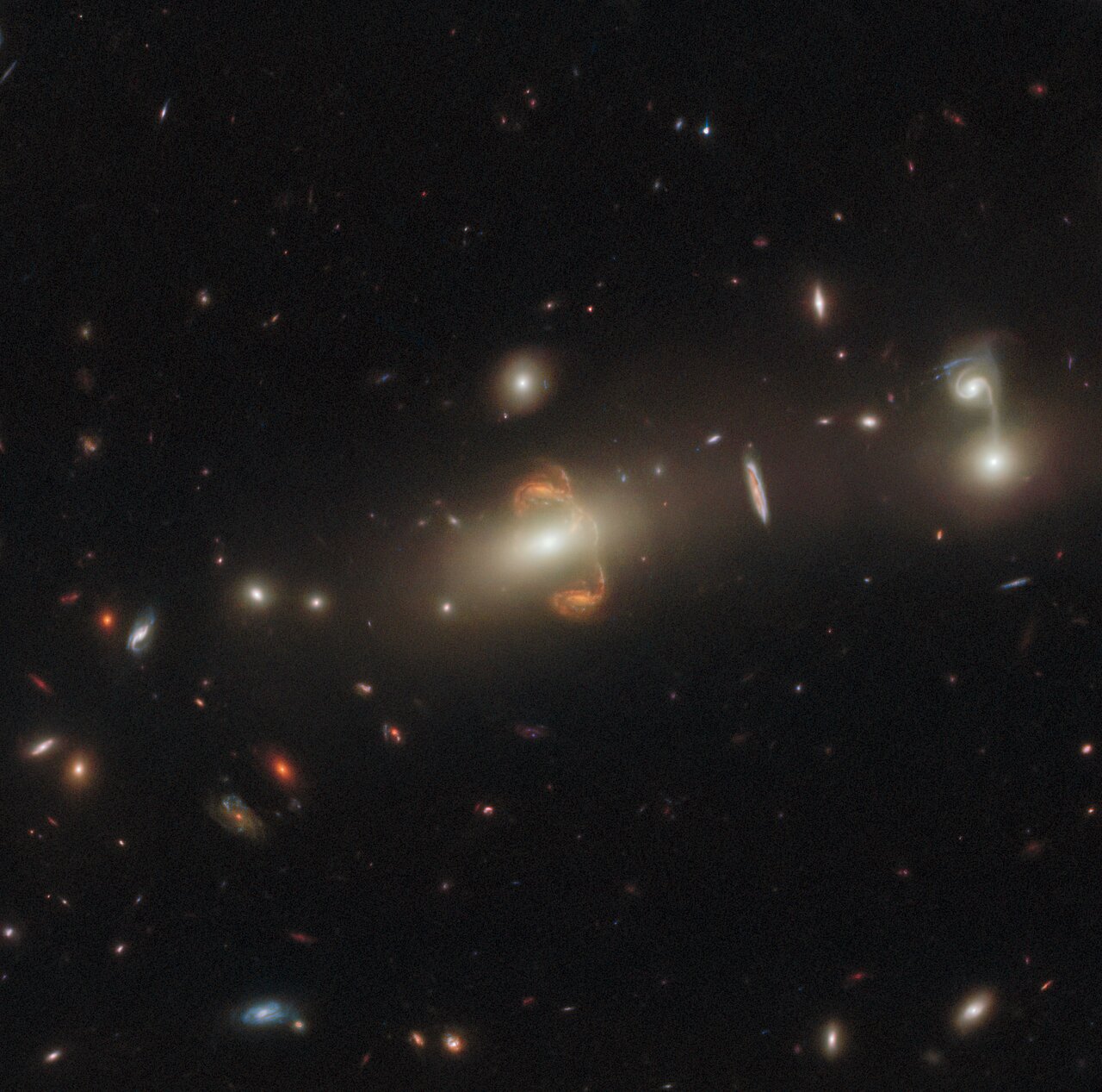 This intriguing observation from the NASA/ESA Hubble Space Telescope shows a gravitationally lensed galaxy with the long-winded identification SGAS J143845+145407. Gravitational lensing has resulted in a mirror image of the galaxy at the centre of this image, creating a captivating centrepiece.  Gravitational lensing occurs when a massive celestial body — such as a galaxy cluster — causes a sufficient curvature of spacetime for the path of light around it to be visibly bent, as if by a lens. Appropriately, the body causing the light to curve is called a gravitational lens, and the distorted background object is referred to as being "lensed". Gravitational lensing can result in multiple images of the original galaxy, as seen in this image, or in the background object appearing as a distorted arc or even a ring. Another important consequence of this lensing distortion is magnification, allowing astronomers to observe objects that would otherwise be too far away or too faint to be seen.  Hubble has a special flair for detecting lensed galaxies. The telescope's sensitivity and crystal-clear vision allow it to see faint and distant gravitational lenses that cannot be detected with ground-based telescopes because of the blurring effect of Earth's atmosphere. Hubble was the first telescope to resolve details within lensed images of galaxies, and is capable of imaging both their shape and internal structure.  This particular lensed galaxy is from a set of Hubble observations that take advantage of gravitational lensing to peer inside galaxies in the early Universe. The lensing reveals details of distant galaxies that would otherwise be unobtainable, and this allows astronomers to determine star formation in early galaxies. This in turn gives scientists a better insight into how the overall evolution of galaxies has unfolded.    Links Video of Lens Flair Credit: ESA/Hubble & NASA, J. Rigby