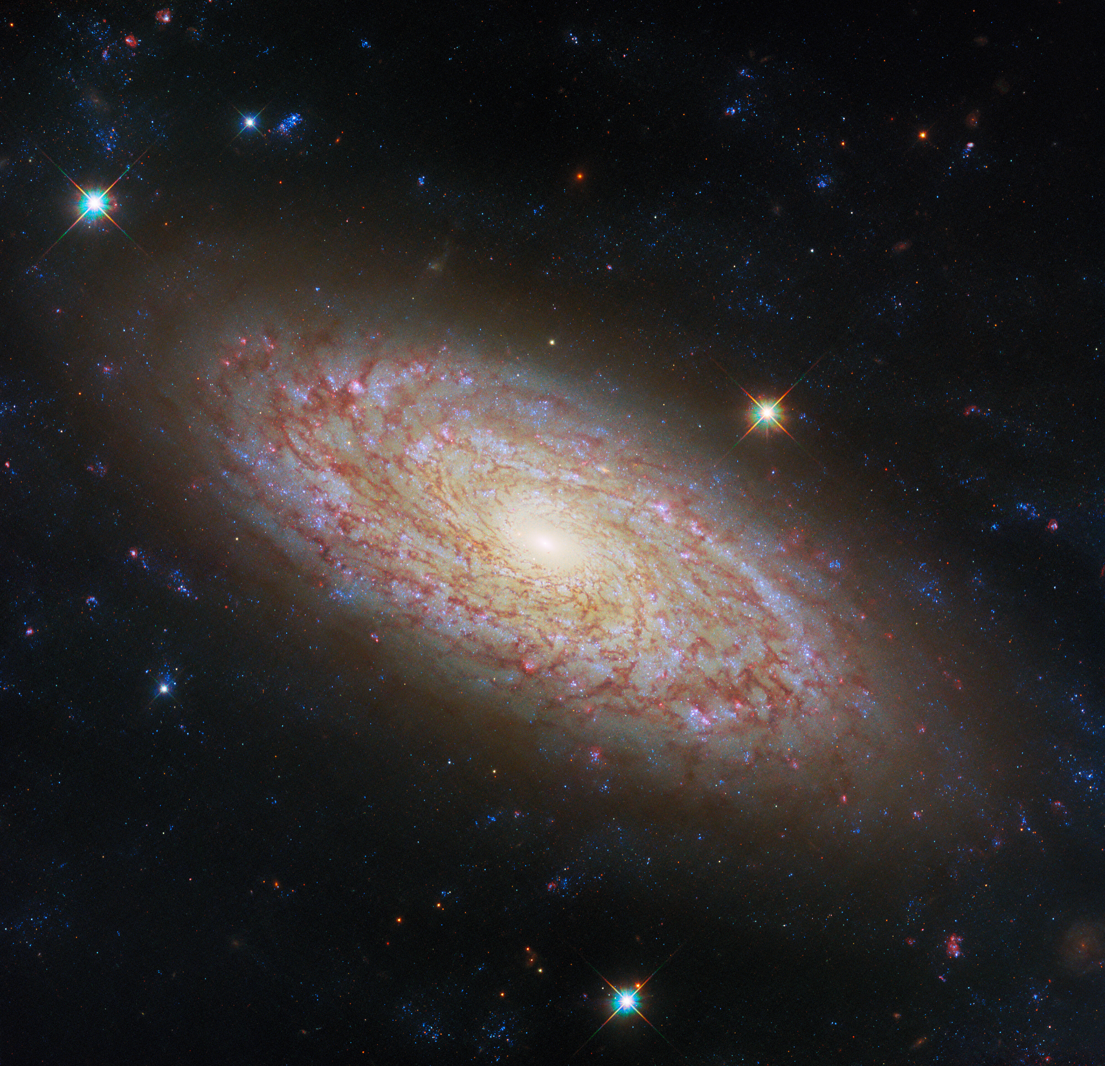 Viewing a flaky disc - Credit: ESA/Hubble & NASA, D. Thilker