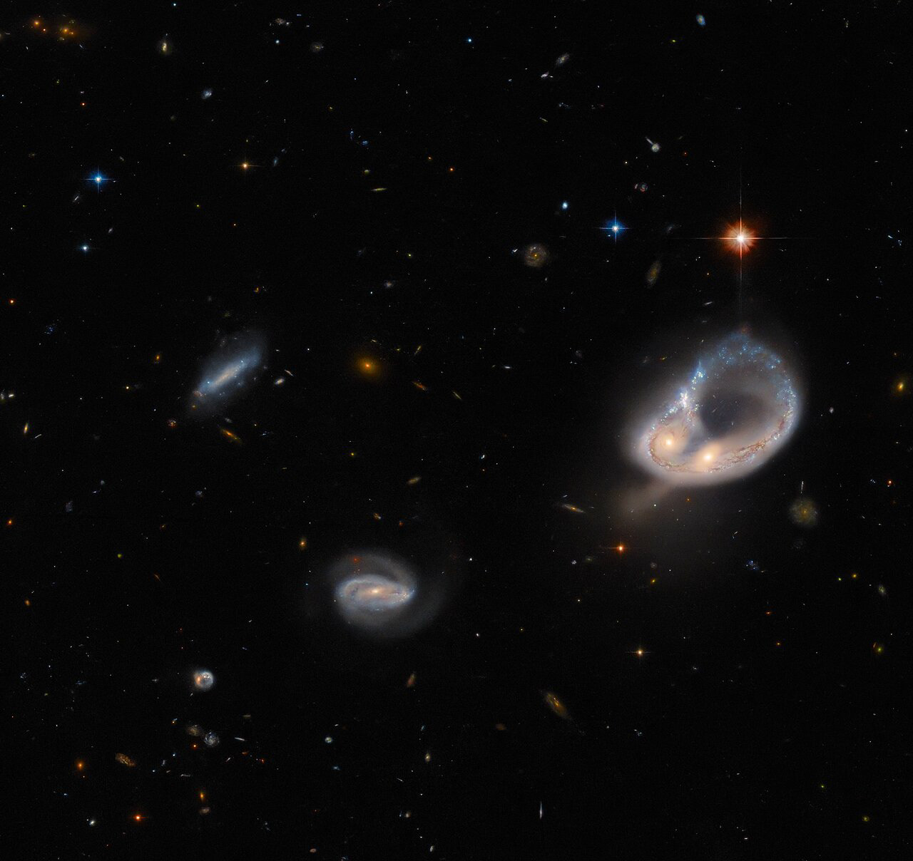 The galaxy merger Arp-Madore 417-391 steals the spotlight in this image from the NASA/ESA Hubble Space Telescope. The Arp-Madore catalogue is a collection of particularly peculiar galaxies spread throughout the southern sky, and includes a collection of subtly interacting galaxies as well as more spectacular colliding galaxies. Arp-Madore 417-391, which lies around 670 million light-years away in the constellation Eridanus in the southern celestial hemisphere, is one such galactic collision. The two galaxies have been distorted by gravity and twisted into a colossal ring, leaving the cores of the two galaxies nestled side by side.  Hubble used its Advanced Camera for Surveys (ACS) to capture this scene — the instrument is optimised to hunt for galaxies and galaxy clusters in the ancient Universe. Hubble’s ACS has been contributing to scientific discovery for 20 years, and throughout its lifetime it has been involved in everything from mapping the distribution of dark matter to studying the evolution of galaxy clusters.  This image comes from a selection of Hubble observations designed to create a list of intriguing targets for follow-up observations with the NASA/ESA/CSA James Webb Space Telescope, as well as other ground-based telescopes. Astronomers chose a list of previously unobserved galaxies for Hubble to inspect between other scheduled observations. Over time, this lets astronomers build up a menagerie of interesting galaxies while using Hubble’s limited observing time as fully as possible.  [Image description: Two galaxies right of centre form a ring shape. The ring is narrow and blue, and the cores of the two galaxies form a bulge on the ring’s side. A bright, orange star lies above the ring. Two smaller spiral galaxies appear left of centre, as well as a few stars. The background is black and speckled with very small stars and galaxies.]  Links Video of Hubble Hunts an Unusual Galaxy Credit: ESA/Hubble & NASA, Dark Energy Survey/DOE/FNAL/DECam/CTIO/NOIRLab/NSF/AURA, J. Dalcanton
