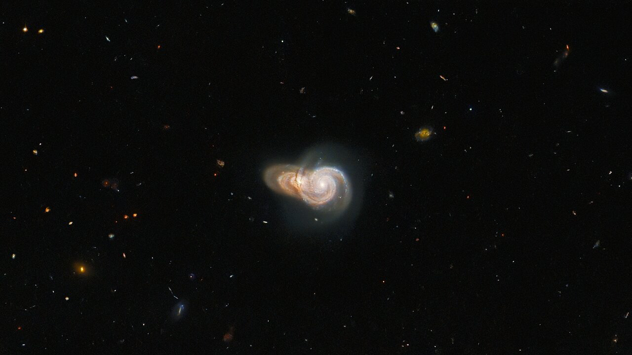 Two overlapping spiral galaxies are pictured in this image from the NASA/ESA Hubble Space Telescope. The two galaxies, which have the uninspiring names SDSS J115331 and LEDA 2073461, lie more than a billion light-years from Earth. Despite appearing to collide in this image, the alignment of the two galaxies is likely just by chance — the two are not actually interacting. While these two galaxies might simply be ships that pass in the night, Hubble has captured a dazzling array of interacting galaxies in the past.  This image is one of many Hubble observations delving into highlights of the Galaxy Zoo project. Originally established in 2007, the Galaxy Zoo project and its successors are massive citizen science projects which crowdsource galaxy classifications from a pool of hundreds of thousands of volunteers. These volunteers classify galaxies imaged by robotic telescopes and are often the first to ever set eyes on an astronomical object.   Over the course of the original Galaxy Zoo project, volunteers discovered a menagerie of weird and wonderful galaxies such as unusual 3-armed spiral galaxies and colliding ring galaxies. The astronomers coordinating the project applied for Hubble time to observe the most unusual inhabitants of the Galaxy Zoo — but true to the project’s crowdsourced roots, the list of targets was chosen by a public vote.  Links Video of A Galactic Overlap Credit: ESA/Hubble & NASA, W. Keel