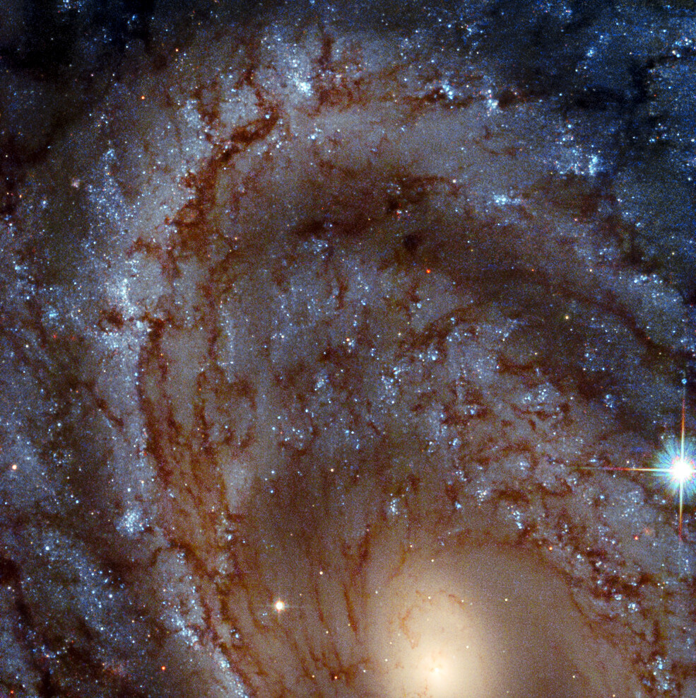 This image shows a close-up portrait of the magnificent spiral galaxy NGC 4603, which lies over 100 million light-years away in the constellation of Centaurus (The Centaur). Bright bands of blue young stars make up the arms of this galaxy, which wind lazily outwards from the luminous core. The intricate red-brown filaments threading through the spiral arms are known as dust lanes, and consist of dense clouds of dust which obscure the diffuse starlight from the galaxy.  This galaxy is a familiar subject for Hubble. In the last years of the twentieth century, NGC 4063 was keenly and closely watched for signs of a peculiar class of stars known as Cepheid variables. These stars have a luminosity closely tied to the period with which they darken and brighten, allowing astronomers to accurately measure how far they are from Earth. Distance measurements from Cepheid variables are key to measuring the furthest distances in the Universe, and were one of the factors used by Georges Lemaître and Edwin Hubble to show that the Universe is expanding.  Credit: ESA/Hubble & NASA, J. Maund
