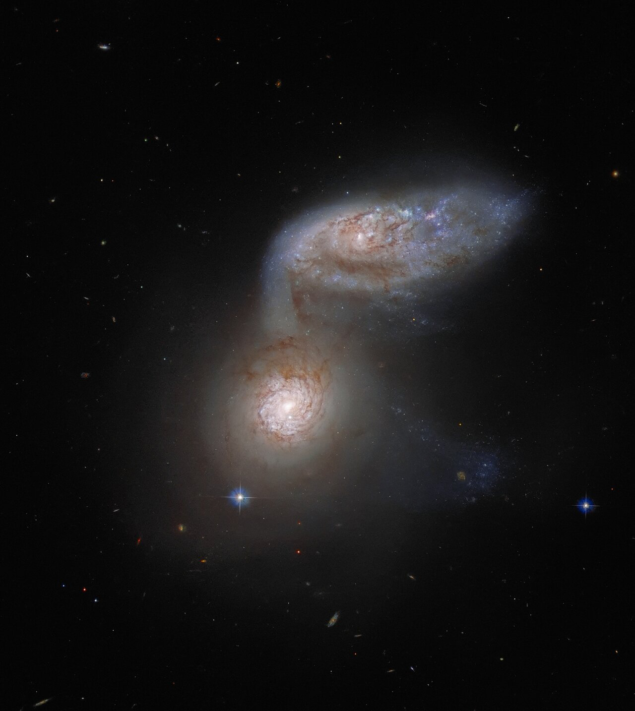 This Picture of the Week features two interacting galaxies that are so intertwined, they have a collective name — Arp 91. This delicate galactic dance is taking place over 100 million light-years from Earth, and was captured by the NASA/ESA Hubble Space Telescope. The two galaxies comprising Arp 91 do have their own names: the lower galaxy, which in this image looks like a bright spot, is known as NGC 5953; and the ovoid galaxy to the upper right is NGC 5954. In reality, both of these galaxies are spiral galaxies, but their shapes appear very different because they are orientated differently with respect to Earth.  Arp 91 provides a particularly vivid example of galactic interaction. NGC 5954 is clearly being tugged towards NGC 5953 — it looks like it is extending one spiral arm downwards. It is the immense gravitational attraction of the two galaxies that is causing them to interact. Such gravitational interactions between galaxies are common, and are an important part of galactic evolution. Most astronomers nowadays believe that collisions between spiral galaxies lead to the formation of another type of galaxy, known as elliptical galaxies. These immensely energetic and massive collisions, however, happen on timescales that dwarf a human lifetime — they  take place over hundreds of millions of years. So we should not expect Arp 91 to look any different over the course of our lifetimes!  Links Video A Dangerous Dance Credit: ESA/Hubble & NASA, J. Dalcanton Acknowledgement: J. Schmidt