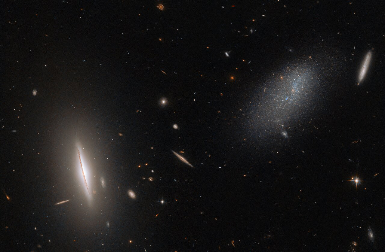 This image from the NASA/ESA Hubble Space Telescope features the galaxy LEDA 48062 in the constellation Canes Venatici. LEDA 48062 is the faint, sparse, amorphous galaxy on the right side of this image, and it is accompanied by a more sharply defined neighbour on the left, the large, disc-like lenticular galaxy UGC 8603. A smattering of more distant galaxies also litter the background, and a handful of foreground stars are also visible throughout the image.  Have you ever wondered why the stars in Hubble images are surrounded by four sharp points? These are called diffraction spikes, and are created when starlight diffracts — or spreads around — the support structures inside reflecting telescopes like Hubble. The four spikes are due to the four thin vanes supporting Hubble’s secondary mirror and are only noticeable for bright objects like stars where a lot of light is concentrated on one spot. Darker, more spread-out objects like the galaxies LEDA 48062 and UGC 8603 do not possess visible diffraction spikes.   Hubble recently spent some time with our galactic neighbours. LEDA 48062 is only around 30 million light-years from the Milky Way, and was therefore included in the observing campaign Every Known Nearby Galaxy. The aim of this campaign was to observe precisely that: every known galaxy within 10 megaparsecs (around 33 million light-years) of the Milky Way. By getting to know our galactic neighbours, astronomers can determine what types of stars reside in various galaxies and also map out the local structure of the Universe.  [Image description: A faint, scattered collection of cool stars in the form of an irregular galaxy lies right of centre. A disc-shaped galaxy viewed nearly edge-on lies to the left, surrounded by a wide glow. Several smaller galaxies in various orientations cluster around the two. The background is black and mostly empty.] Credit:  ESA/Hubble & NASA, R. Tully