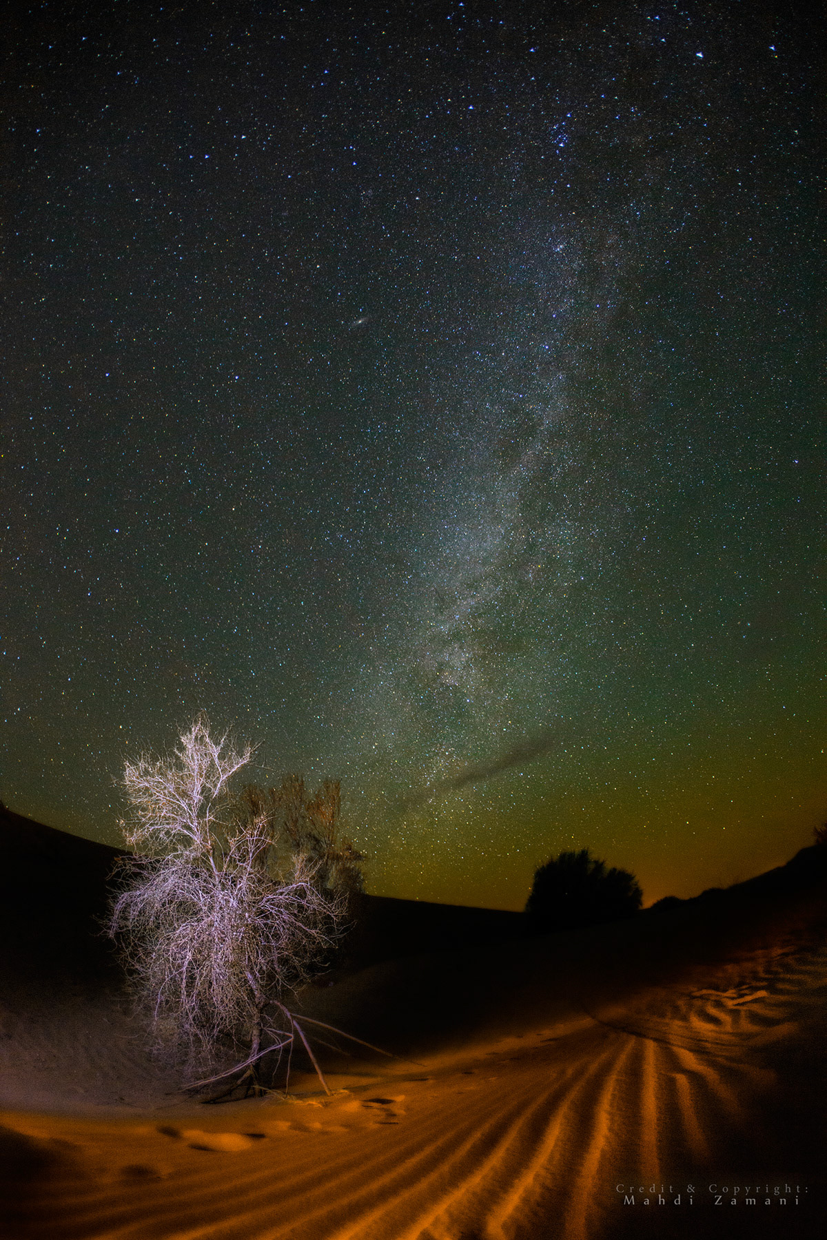 Tamarix desert tree under northern part of Milky Way band. Greenish and reddish airglow could be seen just over the horizon. Mesr desert, Iran, Fall2012