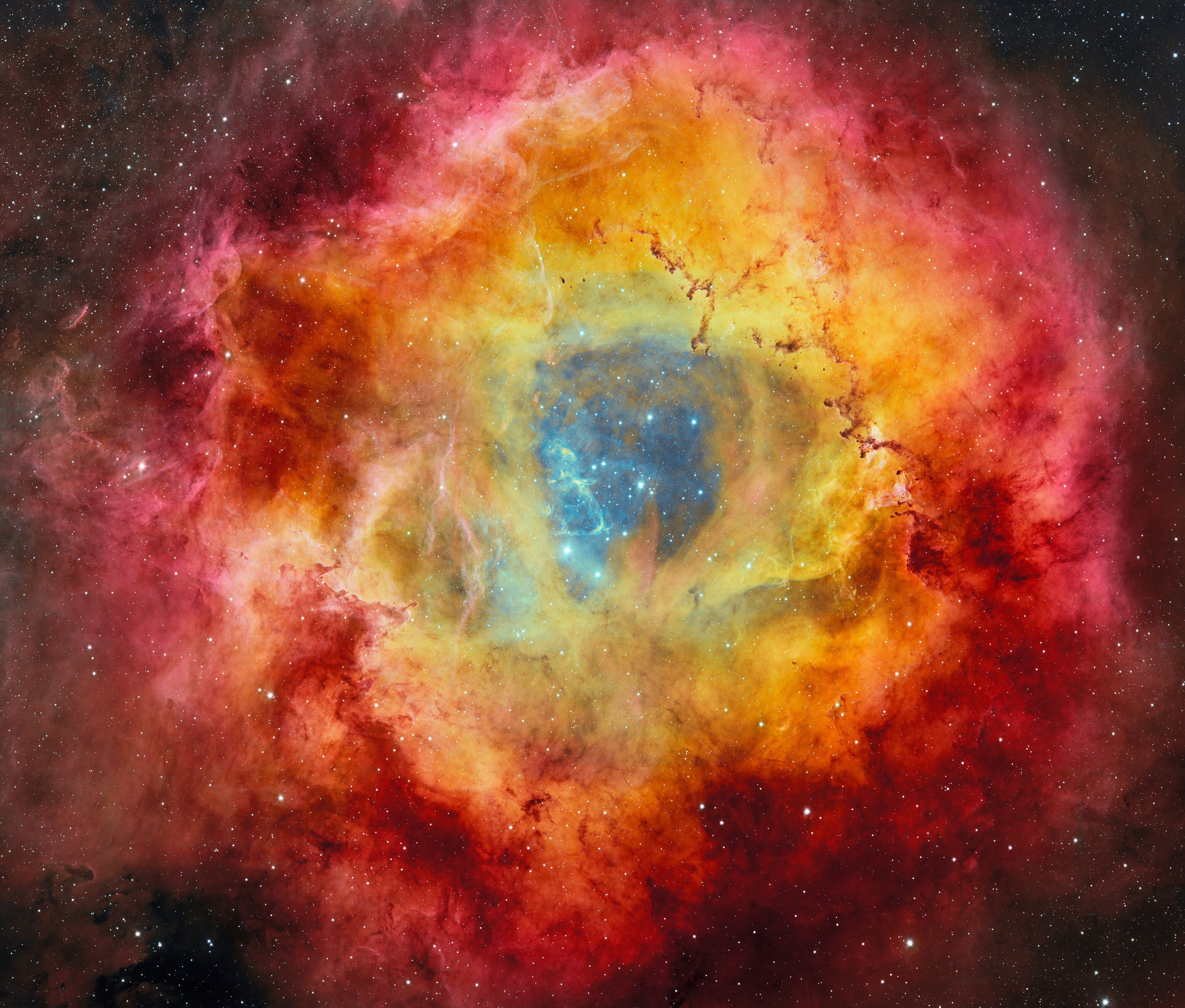 Rosette Nebula Captured with DECam- Credit: CTIO/NOIRLab/DOE/NSF/AURA Image Processing: T.A. Rector (University of Alaska Anchorage/NSF NOIRLab), D. de Martin & M. Zamani (NSF NOIRLab)