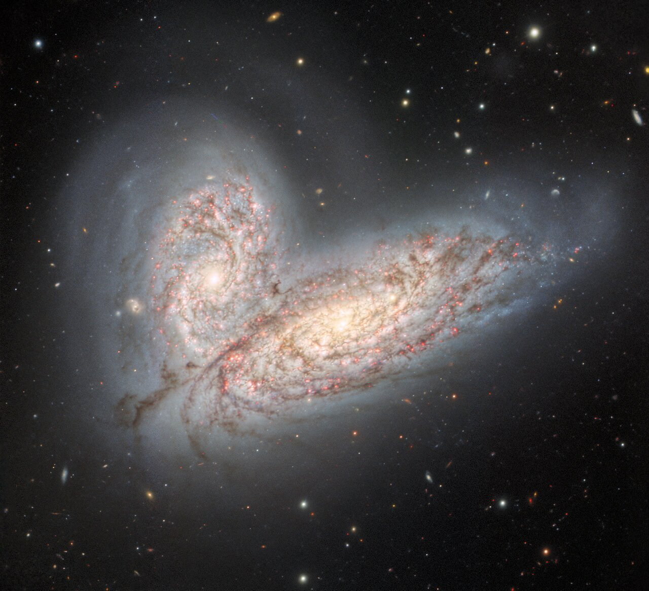 This image from the Gemini North telescope in Hawai‘i reveals a pair of interacting spiral galaxies — NGC 4568 (bottom) and NGC 4567 (top) — as they begin to clash and merge. The galaxies will eventually form a single elliptical galaxy in around 500 million years.  Credit: International Gemini Observatory/NOIRLab/NSF/AURA Image processing: T.A. Rector (University of Alaska Anchorage/NSF's NOIRLab), J. Miller (Gemini Observatory/NSF's NOIRLab), M. Zamani (NSF’s NOIRLab) & D. de Martin (NSF’s NOIRLab)