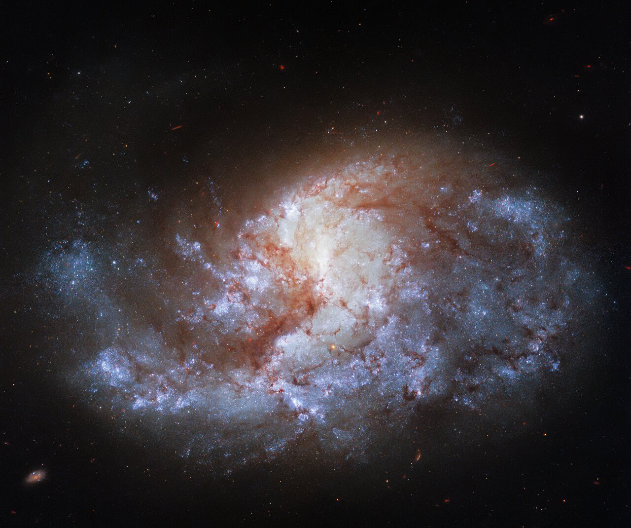 This jewel-bright image from the NASA/ESA Hubble Space Telescope shows NGC 1385, a spiral galaxy 68 million light-years away from Earth, which lies in the constellation Fornax. The image was taken with Hubble’s Wide Field Camera 3 (WFC3), which is often referred to as Hubble’s workhorse camera, thanks to its reliability and versatility. It was installed in 2009 when astronauts last visited Hubble, and 12 years later it remains remarkably productive.   NGC 1385’s home — the Fornax constellation — is not named after an animal or an ancient God, as are many of the other constellations. Fornax is simply the Latin word for a furnace. The constellation was named Fornax by Nicolas-Louis de Lacaille, a French astronomer who was born in 1713. Lacaiile named 14 of the 88 constellations that are still recognised today. He seems to have had a penchant for naming constellations after scientific instruments, including Atlia (the air pump), Norma (the ruler, or set square) and Telescopium (the telescope).  Links Video In the Heart of the Furnace Credit: ESA/Hubble & NASA, J. Lee and the PHANGS-HST Team