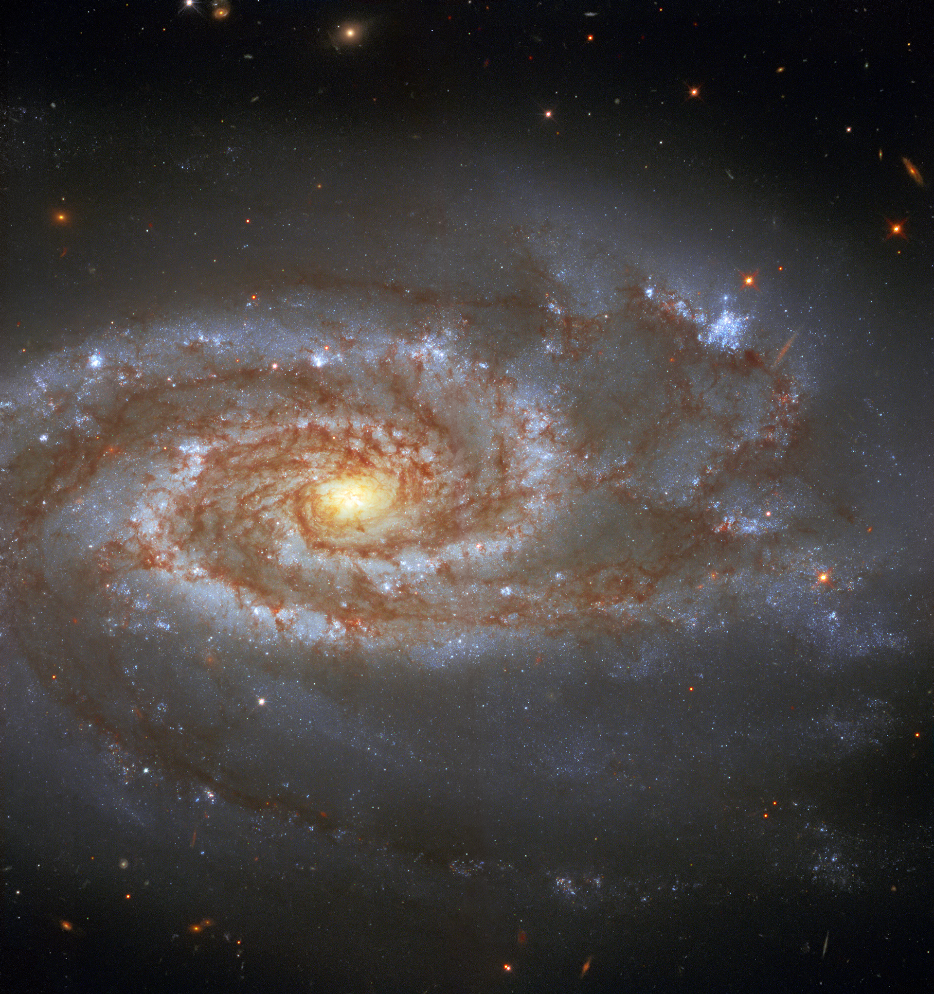 Two Supernovae, One Galaxy / Approximately 85 million light-years from Earth, in the constellation of Libra, is the beautiful galaxy NGC 5861,  captured here by the NASA/ESA Hubble Space Telescope.   NGC 5861 is an intermediate spiral galaxy. Astronomers classify most galaxies by their morphology. For example, the Milky Way galaxy is a barred spiral galaxy. An intermediate spiral galaxy has a shape lying in between that of a barred spiral galaxy, one that appears to have a central bar-shaped structure, and that of an unbarred spiral galaxy, one without a central bar.   Two supernovae, SN1971D and SN2017erp, have been observed in the galaxy. Supernovae are powerful and luminous explosions that can light up the night sky. The brightest supernova ever recorded was possibly SN 1006. It shone 16 times as bright as Venus from April 30 to May 1, 1006 AD.  Credit: ESA/Hubble & NASA, A. Riess et al.