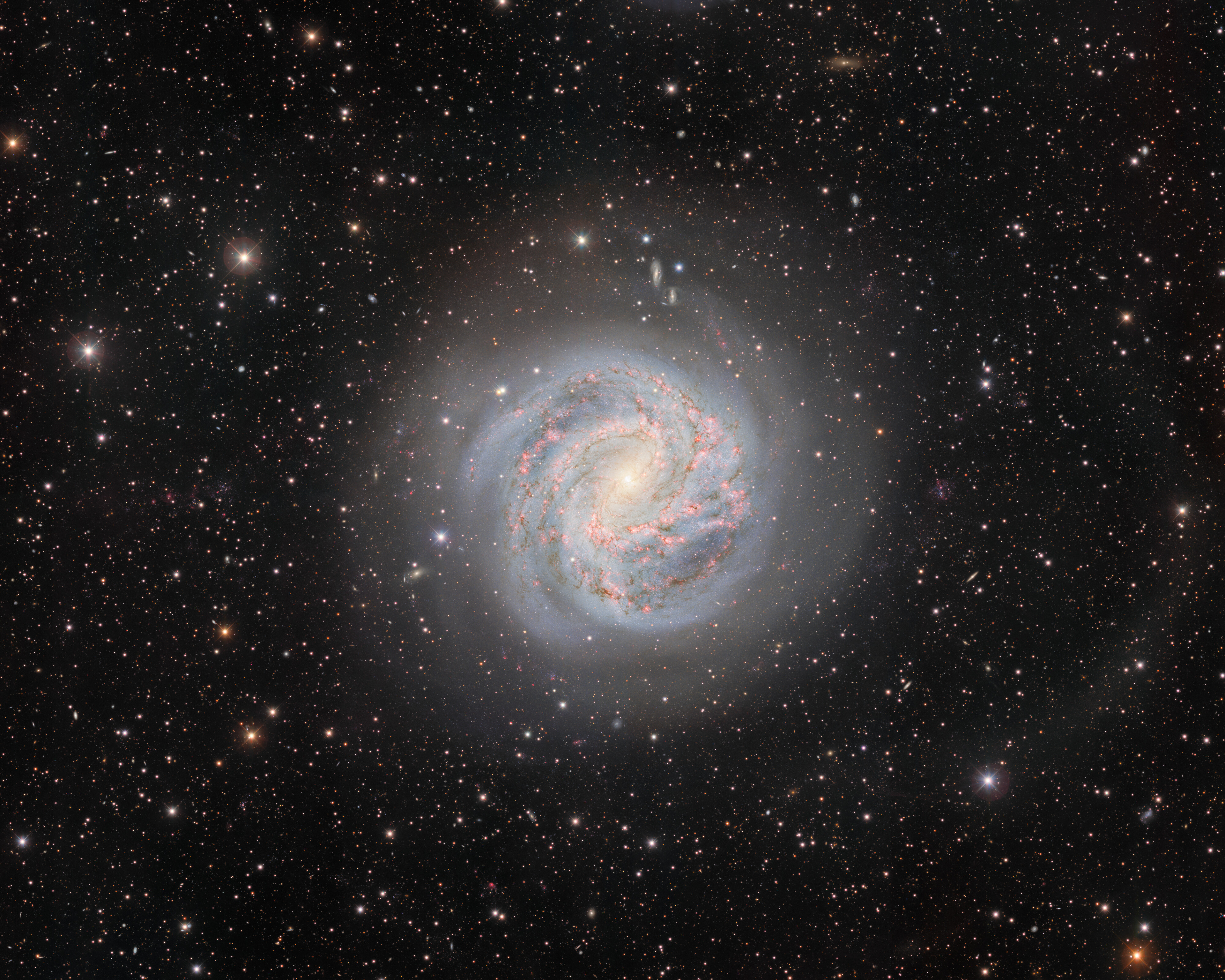 The Southern Pinwheel Galaxy- Credit: CTIO/NOIRLab/DOE/NSF/AURA Image processing: T.A. Rector (University of Alaska Anchorage/NSF NOIRLab), D. de Martin (NSF NOIRLab) & M. Zamani (NSF NOIRLab)