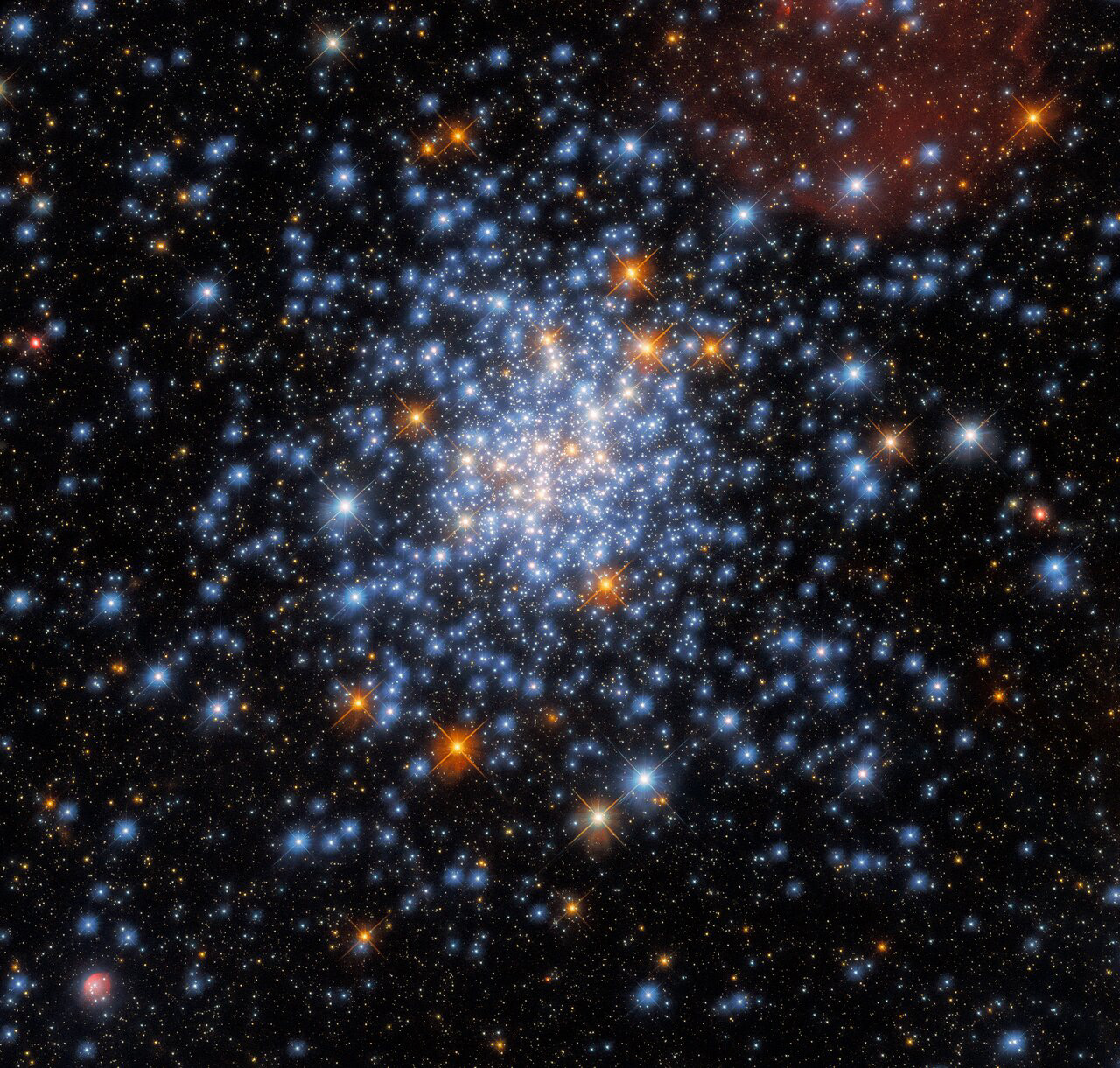 This Picture of the Week depicts the open star cluster NGC 330, which lies around 180,000 light-years away inside the Small Magellanic Cloud. The cluster — which is in the constellation Tucana (The Toucan) — contains a multitude of stars, many of which are scattered across this striking image.  The most stunning object in this image is actually the very small star cluster in the lower left corner of the image, surrounded by a nebula of ionised hydrogen (red) and dust (blue). Named GALFOR 1, the cluster was discovered in 2018 in Hubble's archival data, which was used to create this latest image from Hubble. To better understand this star cluster, specifically whether the nebula surrounding the cluster also contains a bow shock, scientists will need high resolution infrared imagery from the upcoming NASA/ESA/CSA James Webb Space Telescope.  This image also contains clues about the inner workings of Hubble itself. The criss-cross patterns surrounding the stars in this image — known as diffraction spikes —  were created when starlight interacted with the four thin vanes supporting Hubble’s secondary mirror.  As star clusters form from a single primordial cloud of gas and dust, all the stars they contain are roughly the same age. This makes them useful natural laboratories for astronomers to learn how stars form and evolve. This image uses observations from Hubble’s Wide Field Camera 3, and incorporates data from two very different astronomical investigations. The first aimed to understand why stars in star clusters appear to evolve differently from stars elsewhere, a peculiarity first observed by the Hubble Space Telescope. The second aimed to determine how large stars can be before they become doomed to end their lives in cataclysmic supernova explosions.  Links Video of A Scattering of Stars Credit: ESA/Hubble & NASA, J. Kalirai, A. Milone
