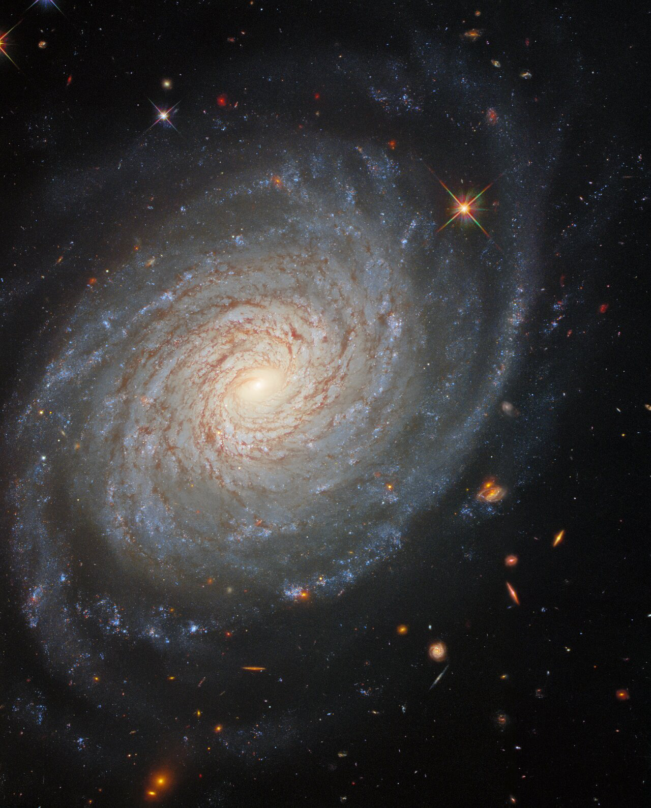 The lazily winding spiral arms of the spectacular galaxy NGC 976 fill the frame of this image from the NASA/ESA Hubble Space Telescope. This spiral galaxy lies around 150 million light-years from the Milky Way in the constellation Aries. Despite its tranquil appearance, NGC 976 has played host to one of the most violent astronomical phenomena known — a supernova explosion. These cataclysmicly violent events take place at the end of the lives of massive stars, and can outshine entire galaxies for a short period. While supernovae mark the deaths of massive stars, they are also responsible for the creation of heavy elements that are incorporated into later generations of stars and planets.  Supernovae are also a useful aid for astronomers who measure the distances to faraway galaxies. The amount of energy thrown out into space by supernova explosions is very uniform, allowing astronomers to estimate their distances from how bright they appear to be when viewed from Earth. This image — which was created using data from Hubble’s Wide Field Camera 3 — comes from a large collection of Hubble observations of nearby galaxies which host supernovae as well as a pulsating class of stars known as Cepheid variables. Both Cepheids and supernovae are used to measure astronomical distances, and galaxies containing both objects provide useful natural laboratories where the two methods can be calibrated against one another.  Credit: ESA/Hubble & NASA, D. Jones, A. Riess et al.