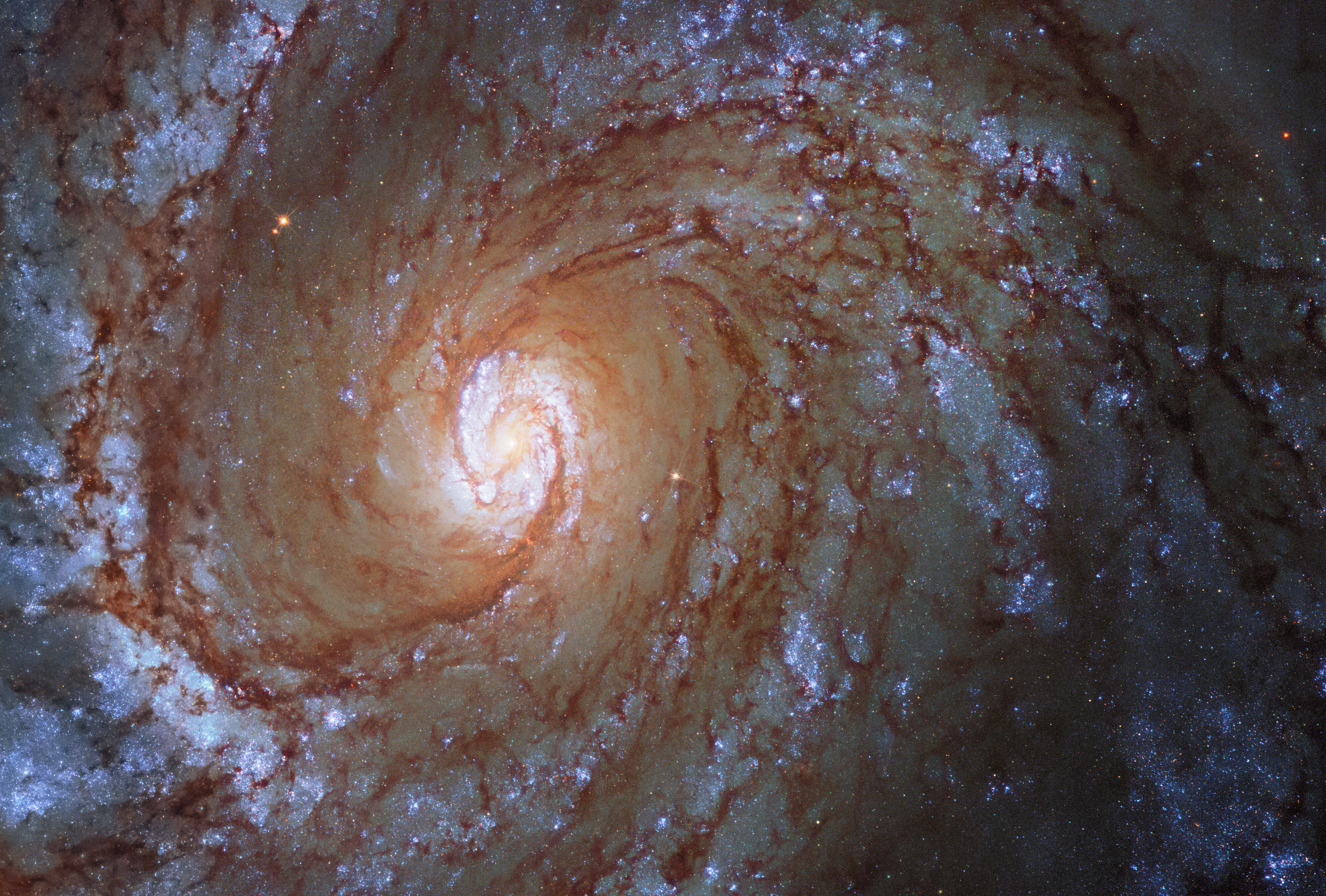 Hubble Space Telescope image of SN 2019ehk Hubble Space Telescope image of SN 2019ehk in its spiral host galaxy, Messier 100.   The image is a composite made of pre- and post-explosion images.  Credit: CTIO/SOAR/NOIRLab/NSF/AURA/Northwestern University/C. Kilpatrick/University of California Santa Cruz/NASA-ESA Hubble Space Telescope