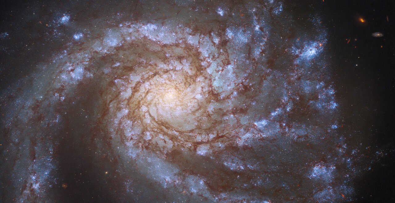 The magnificent spiral galaxy M99 fills the frame in this image from the NASA/ESA Hubble Space Telescope. M99 — which lies roughly 42 million light-years from Earth in the constellation Coma Berenices — is a “grand design” spiral galaxy, so-called because of the well-defined, prominent spiral arms visible in this image. M99 was captured by Hubble’s Wide Field Camera 3 on two separate occasions, helping astronomers study two entirely different astronomical phenomena.   The first set of observations aimed to explore a gap between two different varieties of cosmic explosions; novae and supernovae. Novae, which are caused by the interactions between white dwarfs and larger stars in binary systems, are far less bright than the supernovae which mark the catastrophically violent deaths of massive stars. However, current astronomical theories predict that sudden, fleeting events could occur that shine with brightnesses between those of novae and supernovae. Despite being described by astronomers as being shrouded in mystery and controversy, just such an event was observed in M99. Astronomers turned to Hubble’s keen vision to take a closer look and precisely locate the fading source.  The second set of observations were part of a large Hubble project which aims to chart the connections between young stars and the clouds of cold gas from which they form. Hubble inspected 38 nearby galaxies, identifying clusters of hot, young stars. These galaxies were also observed by the Atacama Large Millimeter/submillimeter Array (ALMA), a colossal radio telescope consisting of 66 individual dishes perched high in the Chilean Andes. The combination of Hubble’s observations of young stars and ALMA’s insight into clouds of cold gas will allow astronomers to delve into the details of star formation, and paves the way for future science with the NASA/ESA/CSA James Webb Space Telescope.   Credit: ESA/Hubble & NASA, M. Kasliwal, J. Lee and the PHANGS-HST Team