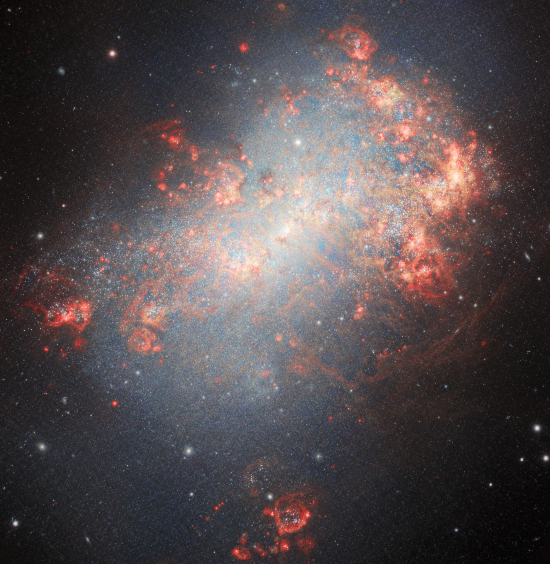 Starburst Galaxy NGC 4449 - Credit: International Gemini Observatory/NOIRLab/NSF/AURA Image Processing: J. Miller (International Gemini Observatory/NSF NOIRLab), M. Rodriguez (International Gemini Observatory/NSF NOIRLab), T.A. Rector (University of Alaska Anchorage/NSF NOIRLab), M. Zamani (NSF NOIRLab) Acknowledgements: PI: P. Frank Winkler (Middlebury College), Knox S. Long (STScI/Eureka Scientific Inc), and William P. Blair (Johns Hopkins University)
