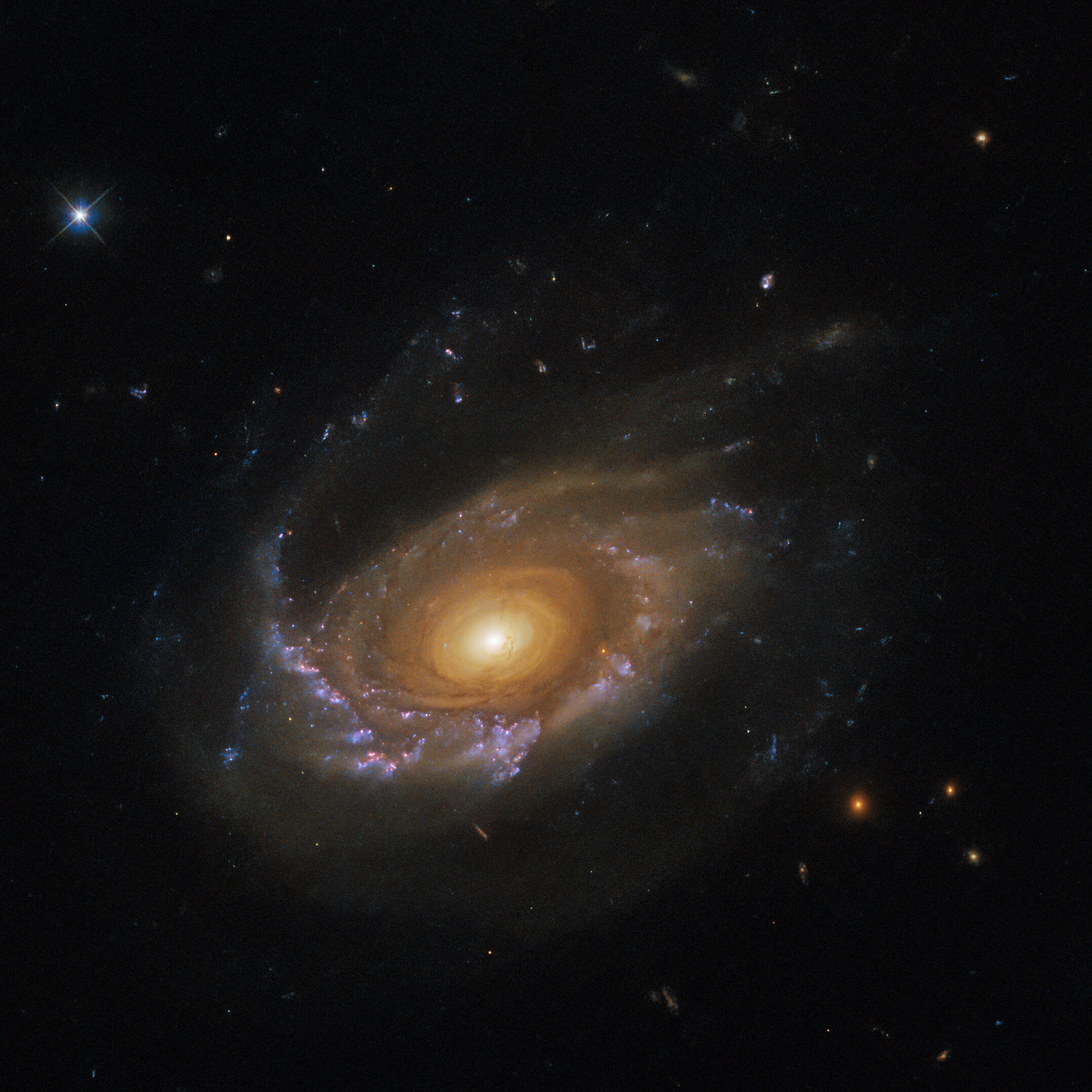 A jellyfish galaxy adrift - Credit: ESA/Hubble & NASA, M. Gullieuszik and the GASP team