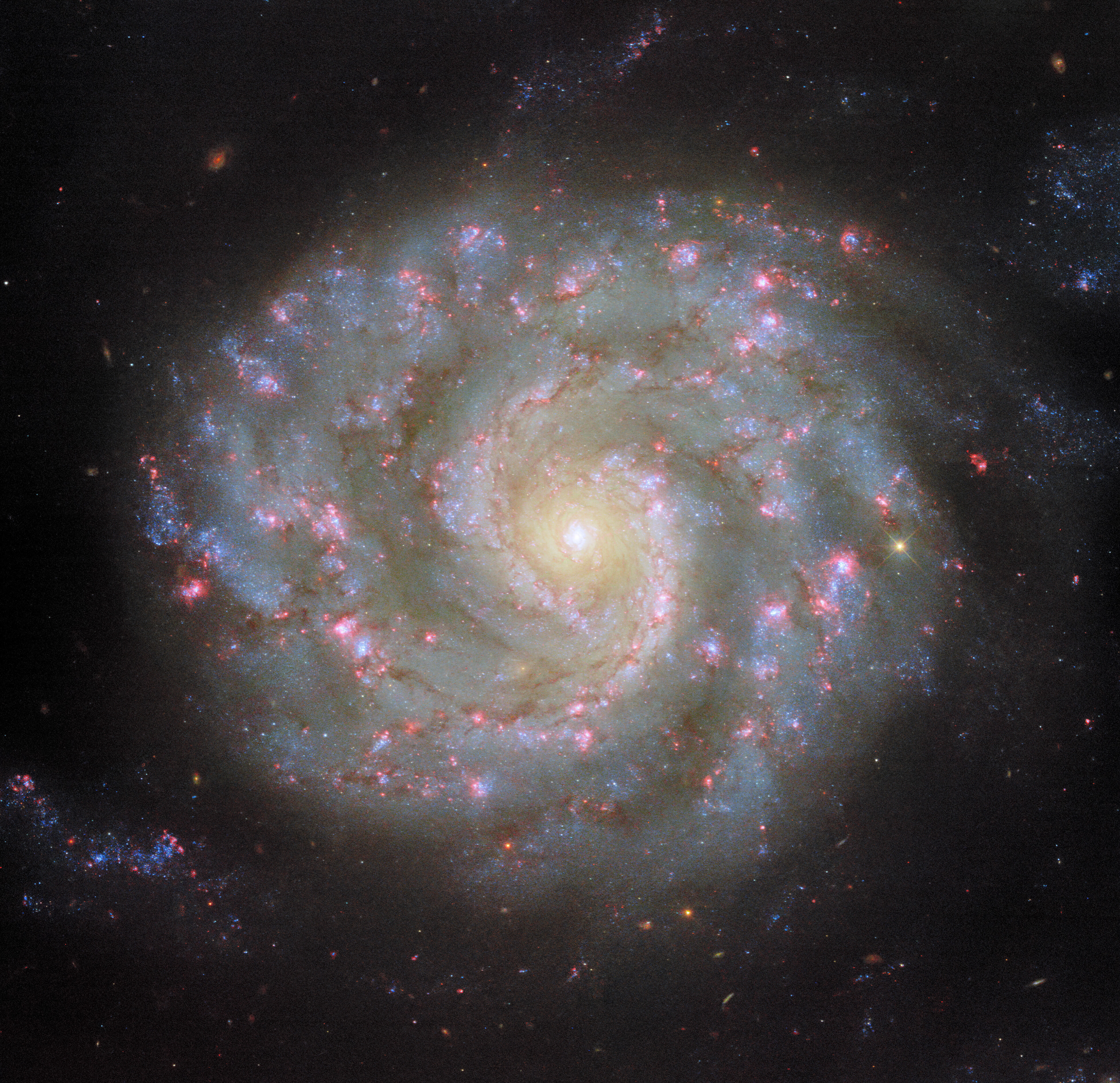 Face to face with a spiral’s arms - Credit: ESA/Hubble & NASA, D. Thilker