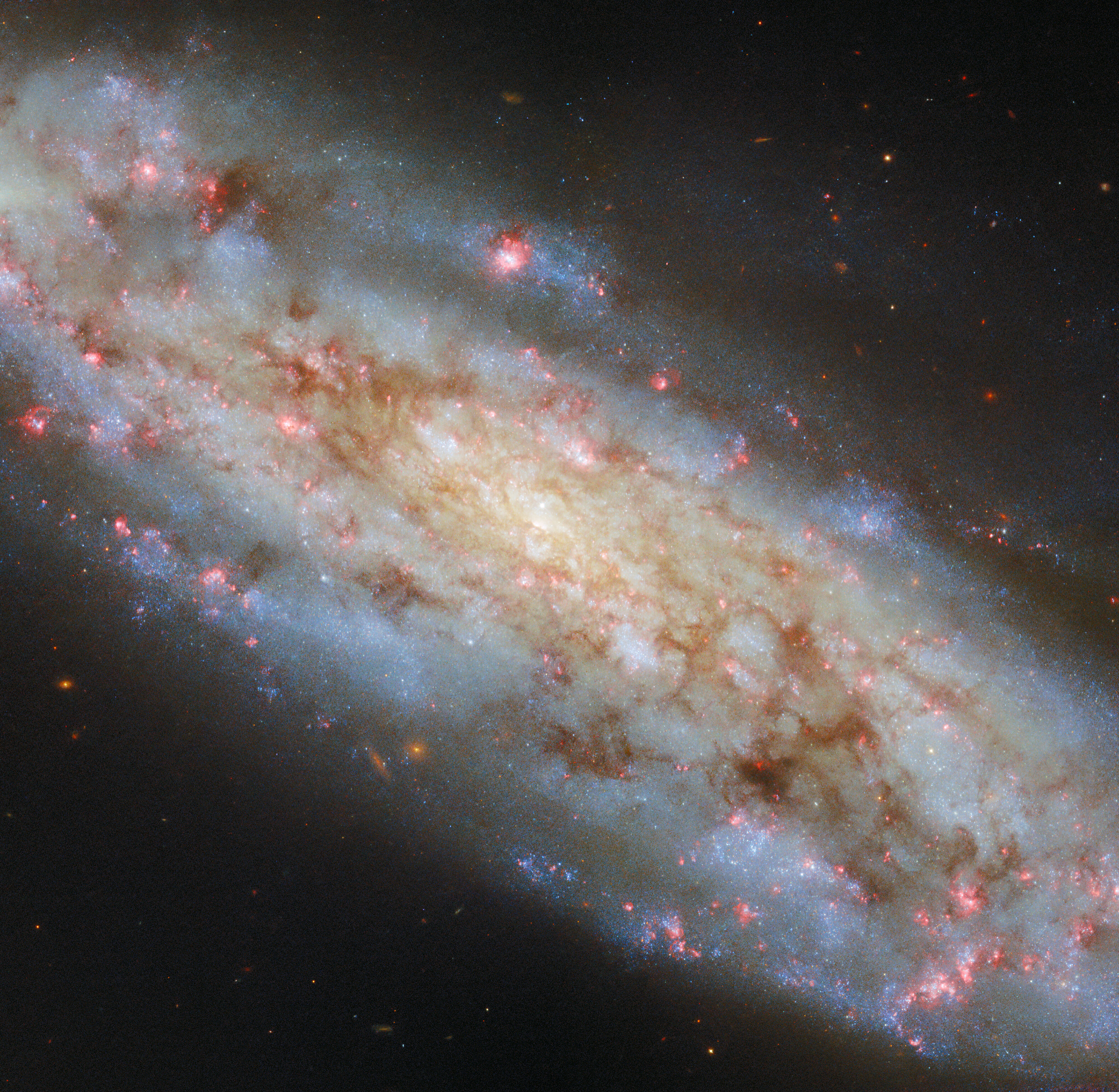 A spiral so inclined - Credit: ESA/Hubble & NASA, D. Thilker