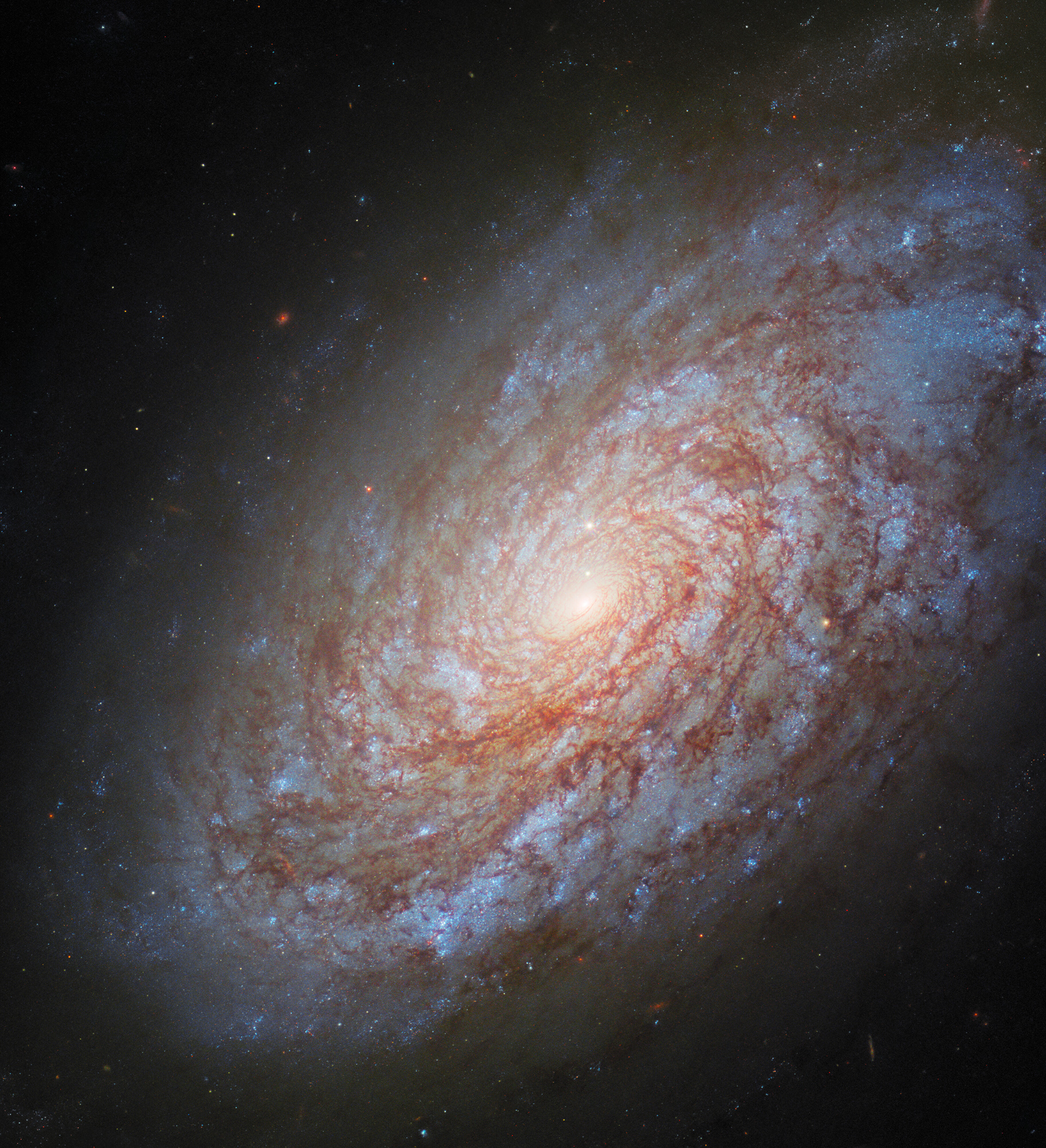Revisiting an old beauty - Credit: ESA/Hubble & NASA, O. Graur, S. W. Jha, A. Filippenko 