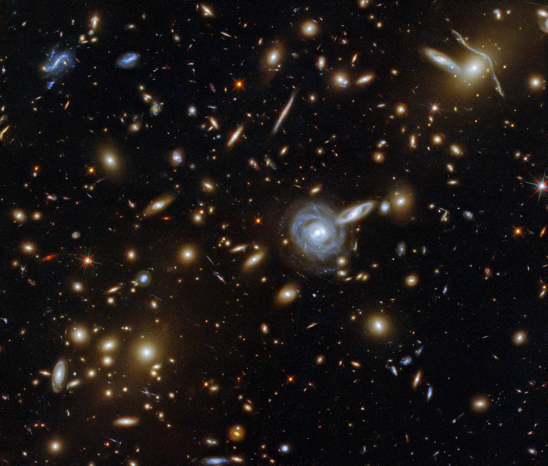 This packed ESA/Hubble Picture of the Week showcases the galaxy cluster ACO S 295, as well as a jostling crowd of background galaxies and foreground stars. Galaxies of all shapes and sizes populate this image, ranging from stately spirals to fuzzy ellipticals. As well as a range of sizes, this galactic menagerie boasts a range of orientations, with spiral galaxies such as the one at the centre of this image appearing almost face on, and some edge-on spiral galaxies visible only as thin slivers of light.  The cluster dominates the centre of this image, both visually and physically. The huge mass of the galaxy cluster has gravitationally lensed the background galaxies, distorting and smearing their shapes. As well as providing astronomers with a natural magnifying glass with which to study distant galaxies, gravitational lensing has subtly framed the centre of this image, producing a visually striking scene.  Links Video of a Menagerie of Galaxies  Credit: ESA/Hubble & NASA, F. Pacaud, D. Coe
