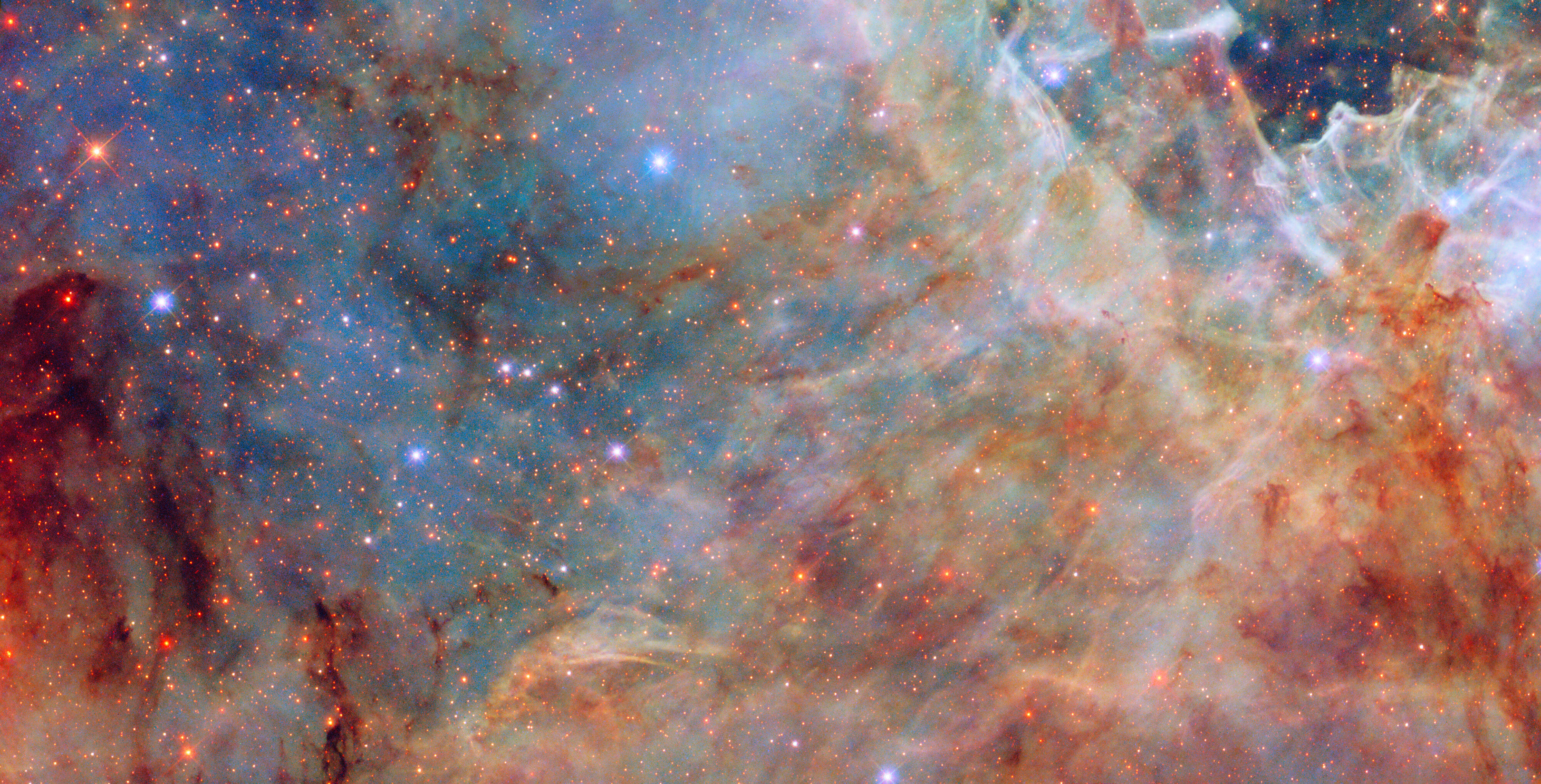 A Tarantula’s outskirts - Credit: ESA/Hubble & NASA, C. Murray