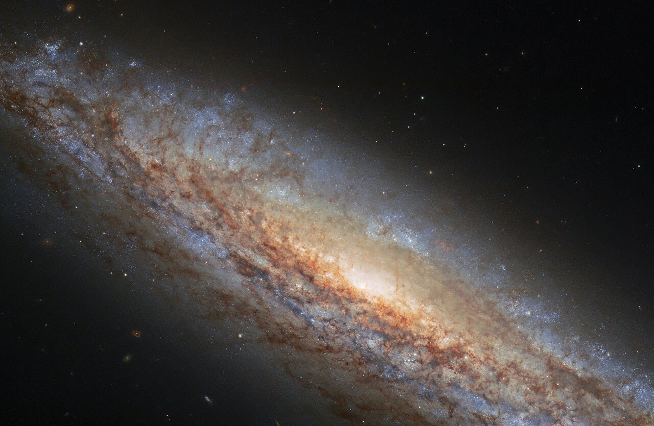 NGC 4666 takes centre stage in this image from the NASA/ESA Hubble Space Telescope. This majestic spiral galaxy lies about 80 million light-years away in the constellation Virgo, and is undergoing a particularly intense episode of star formation. Astronomers refer to galaxies which are forming stars anomalously quickly as starburst galaxies. NGC 4666’s starburst is thought to be due to gravitational interactions with its unruly neighbours — including the nearby galaxy NGC 4668 and a dwarf galaxy.  NGC 4666’s burst of star formation is driving an unusual form of extreme galactic weather known as a superwind — a gigantic transfer of gas from the bright central heart of the galaxy out into space. This superwind is the result of driving winds from short-lived massive stars formed during NGC 4666’s starburst as well as spectacularly energetic supernova explosions. Two such supernova explosions have been seen in NGC 4666 within the last decade — one in 2014 and the other in 2019. The star which led to the 2019 supernova was recently determined to be 19 times as massive as our Sun!  At peak, supernovae are often the brightest sources of light in their galaxies, shining so bright that they can be seen clear across the Universe. The 2014 supernova in NGC 4666 is still active in this image, but more than 900 days after it peaked, the supernova has faded from its former glory and looks like just one more star in this busy galaxy.  Though the torrent of superheated gas emanating from NGC 4666 is truly vast in scale — extending for tens of thousands of light-years — it is invisible in this image. The superwind’s extremely high temperature makes it stand out as a luminous plume in x-ray or radio observations, but it doesn’t show up at the visible wavelengths imaged by Hubble’s Wide Field Camera 3.  Links Video of An Invisible Galactic Gale Credit: ESA/Hubble & NASA, O. Graur Acknowledgement: L. Shatz