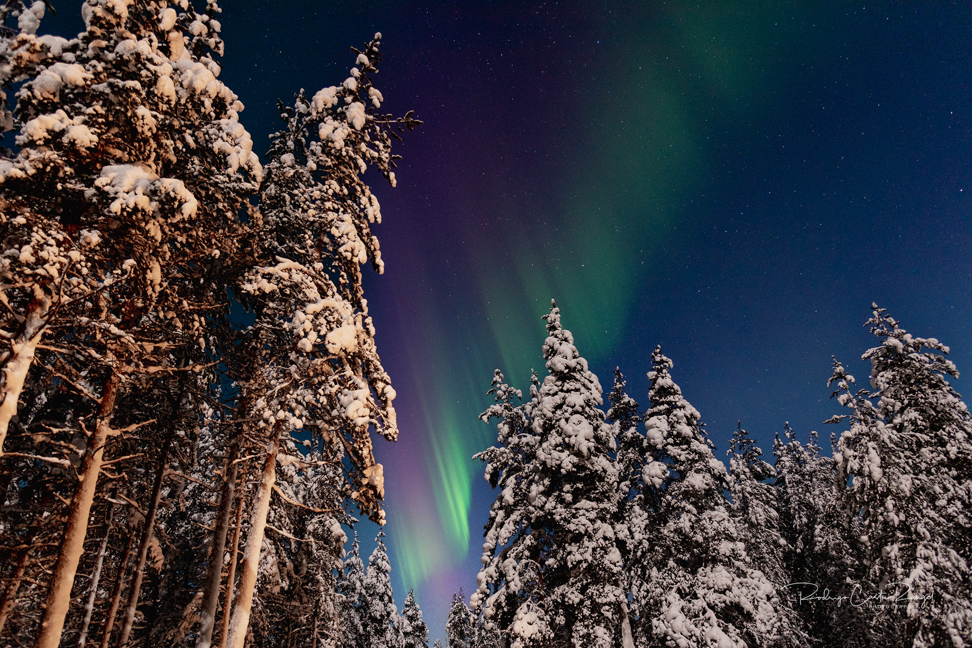 Rodrigo Castro Rangel - Photography - Northern lights above the Arctic  Circle