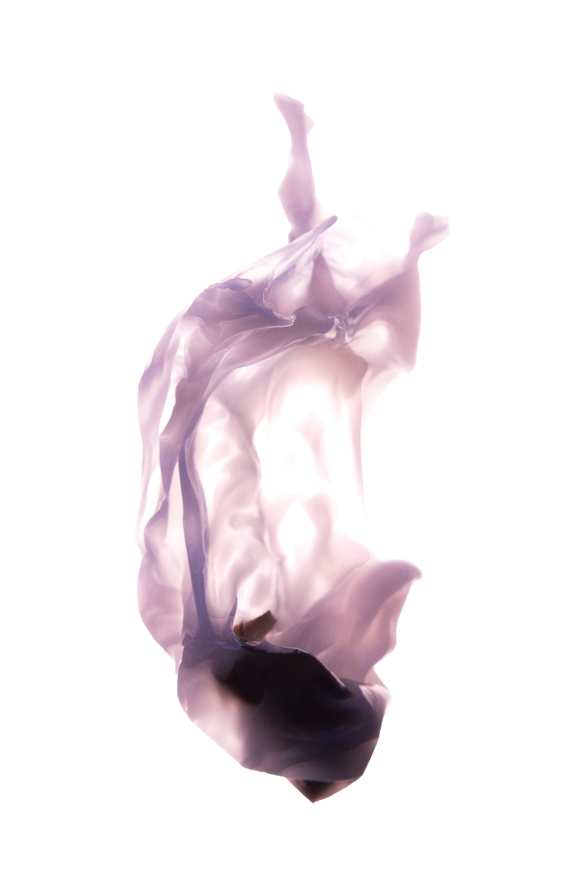 Vanitas