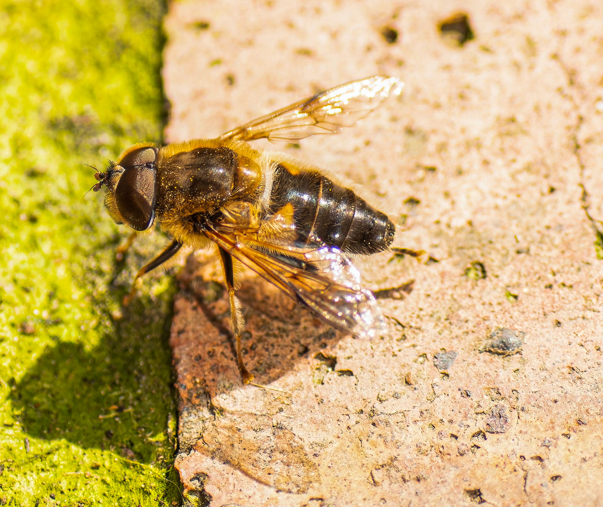 © John M Williams 2021