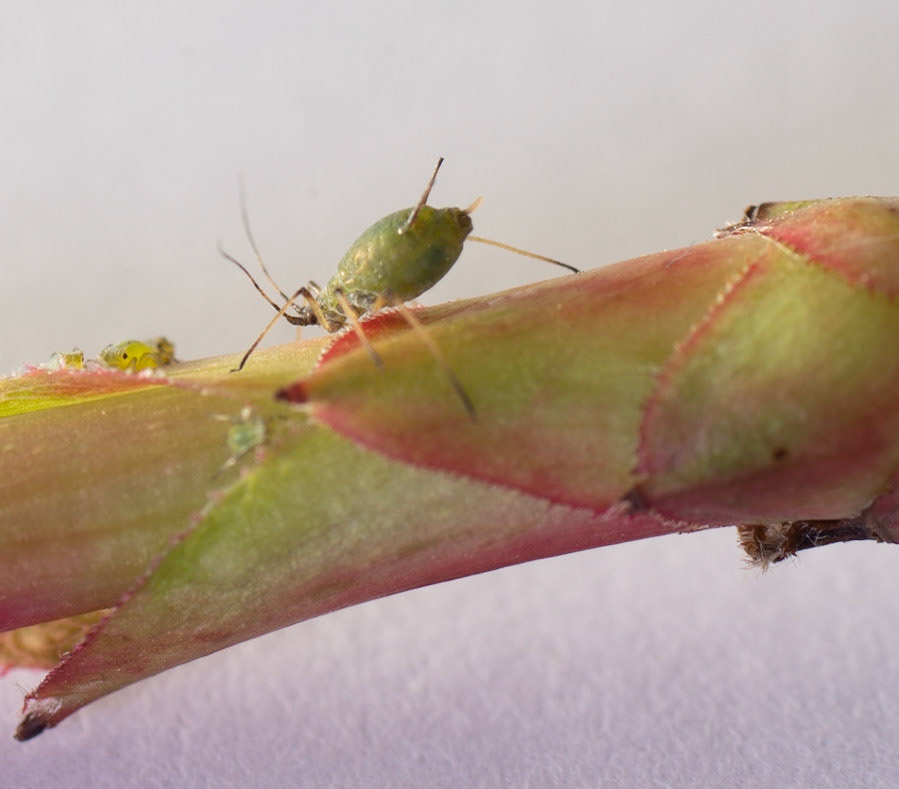 © John M Williams 2021© John M Williams 2021