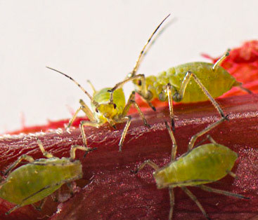 © John M Williams 2021