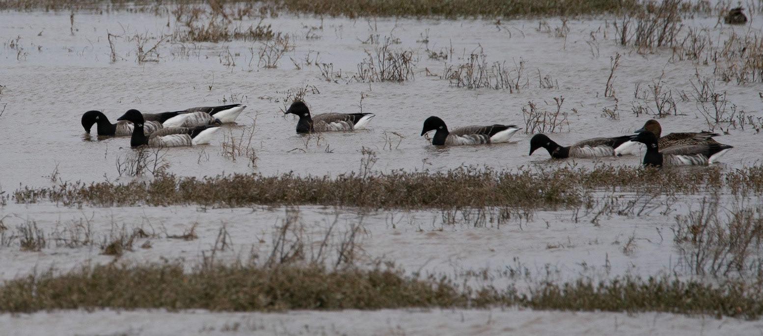 © John M Williams 2021