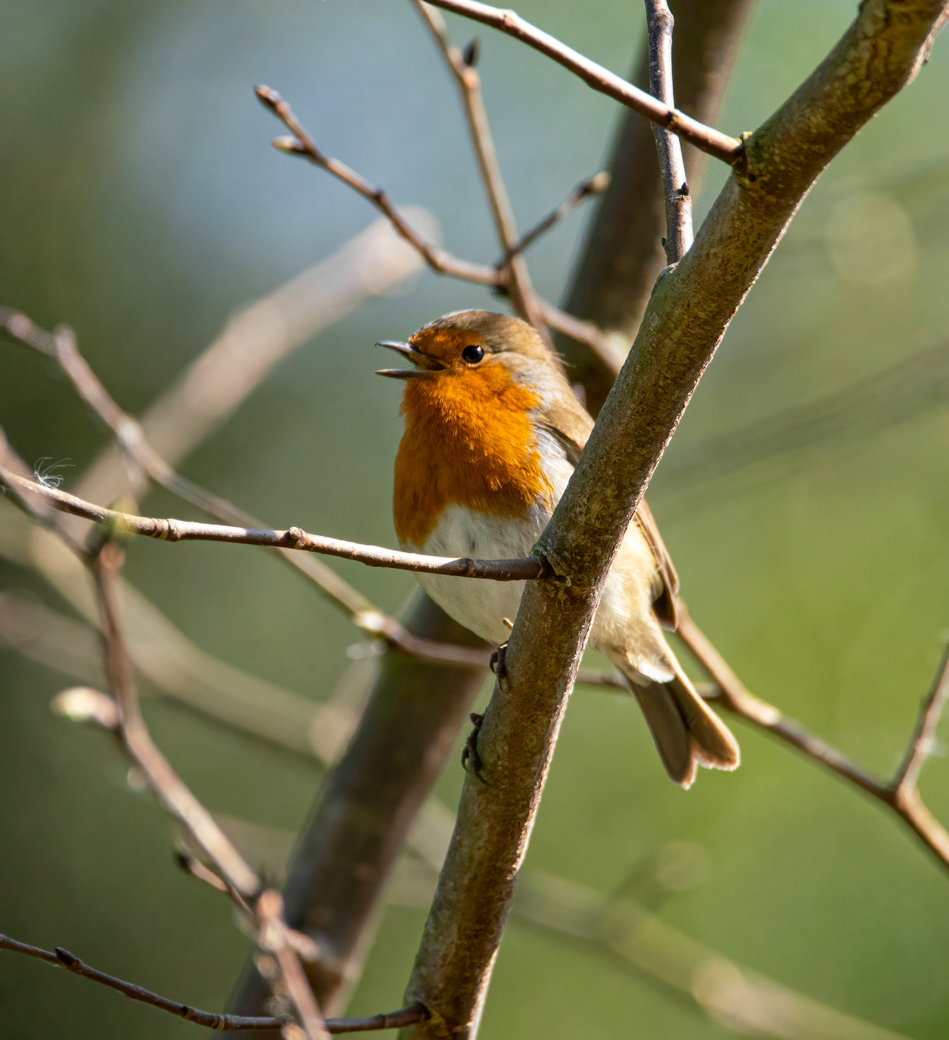 © John M Williams 2021