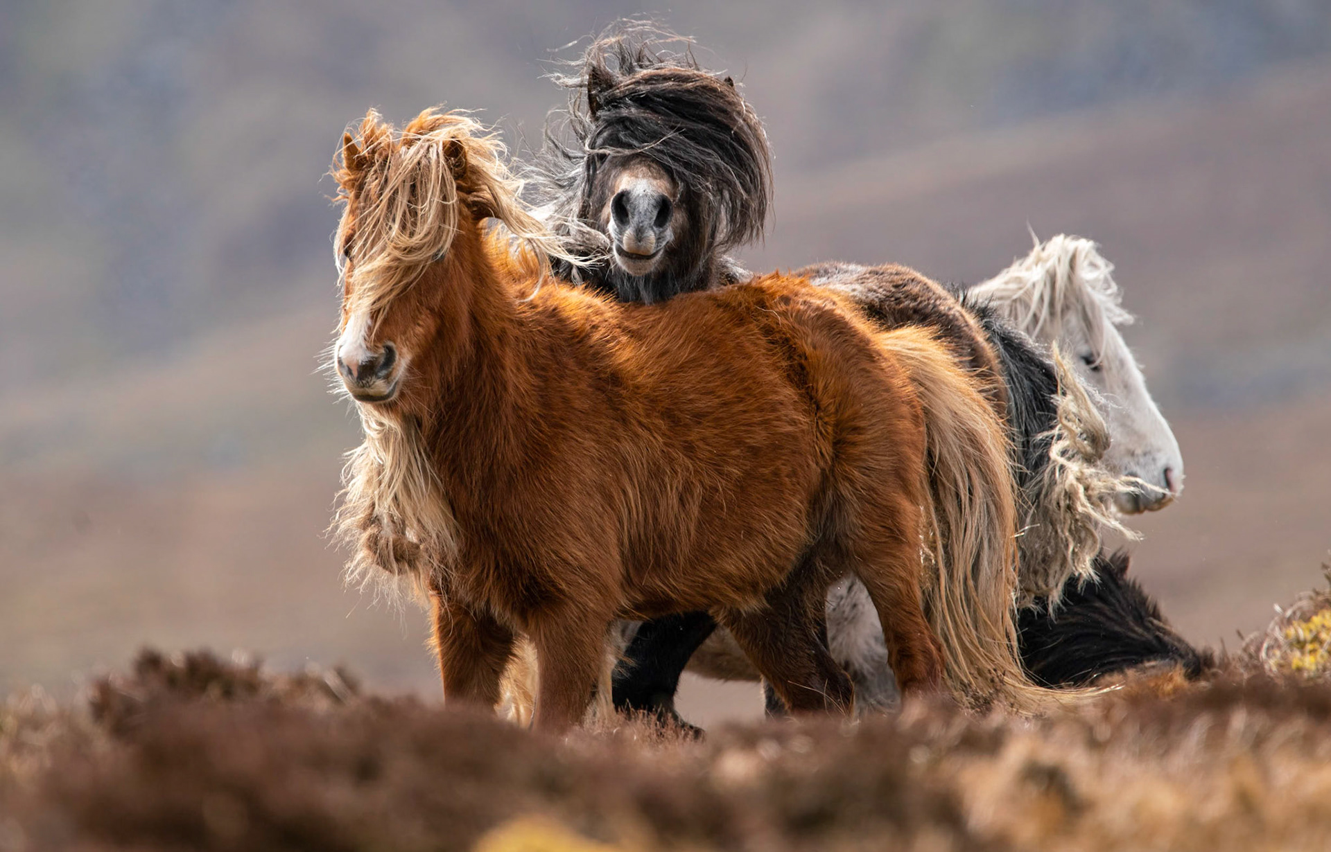 © John M Williams