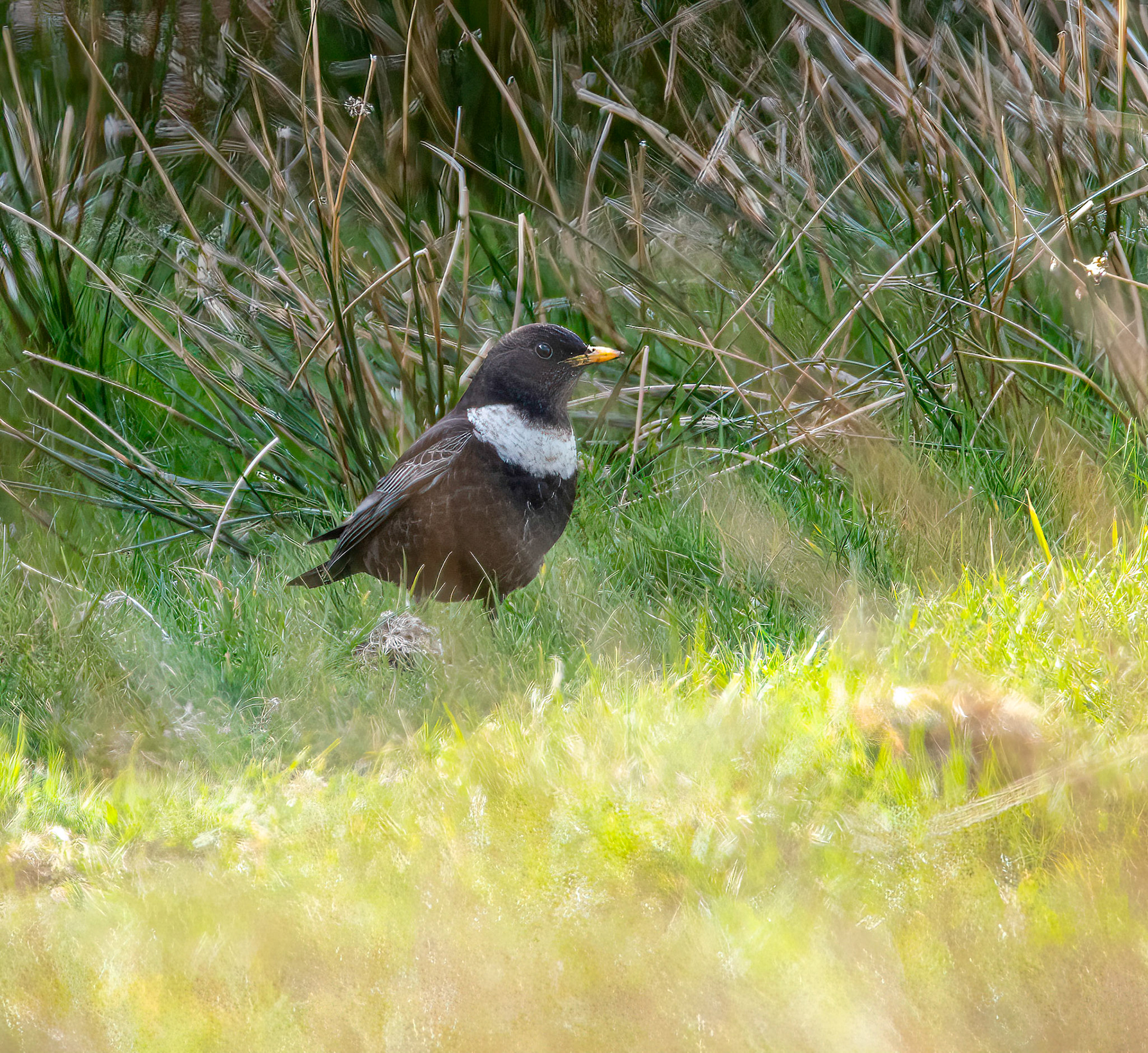 © John M Williams 2021