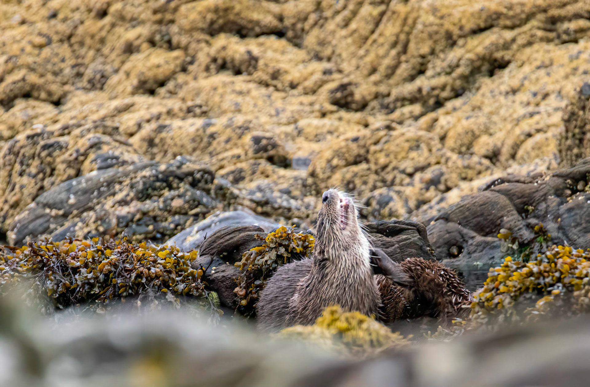 ©John M Williams