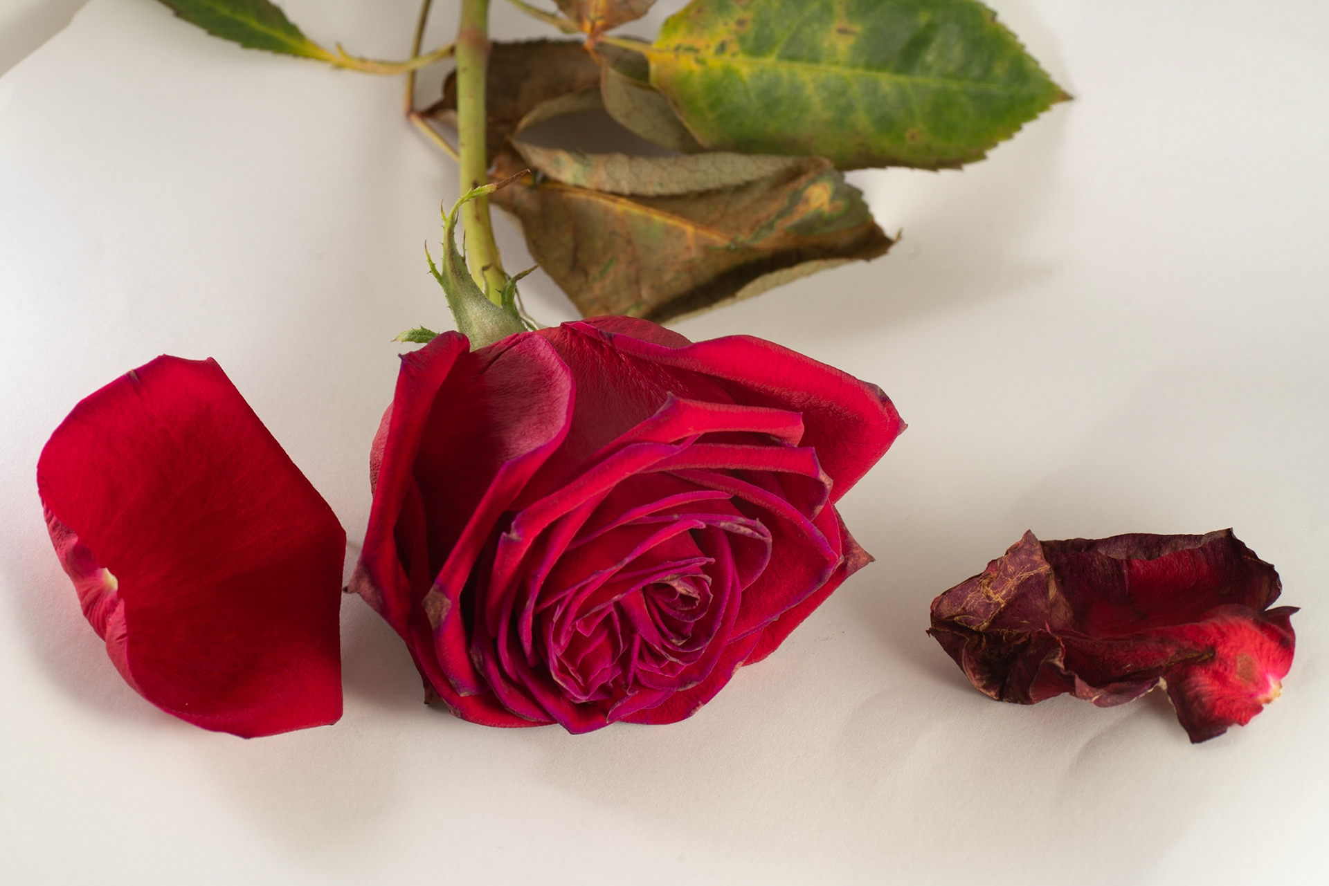 © John M Williams 2021